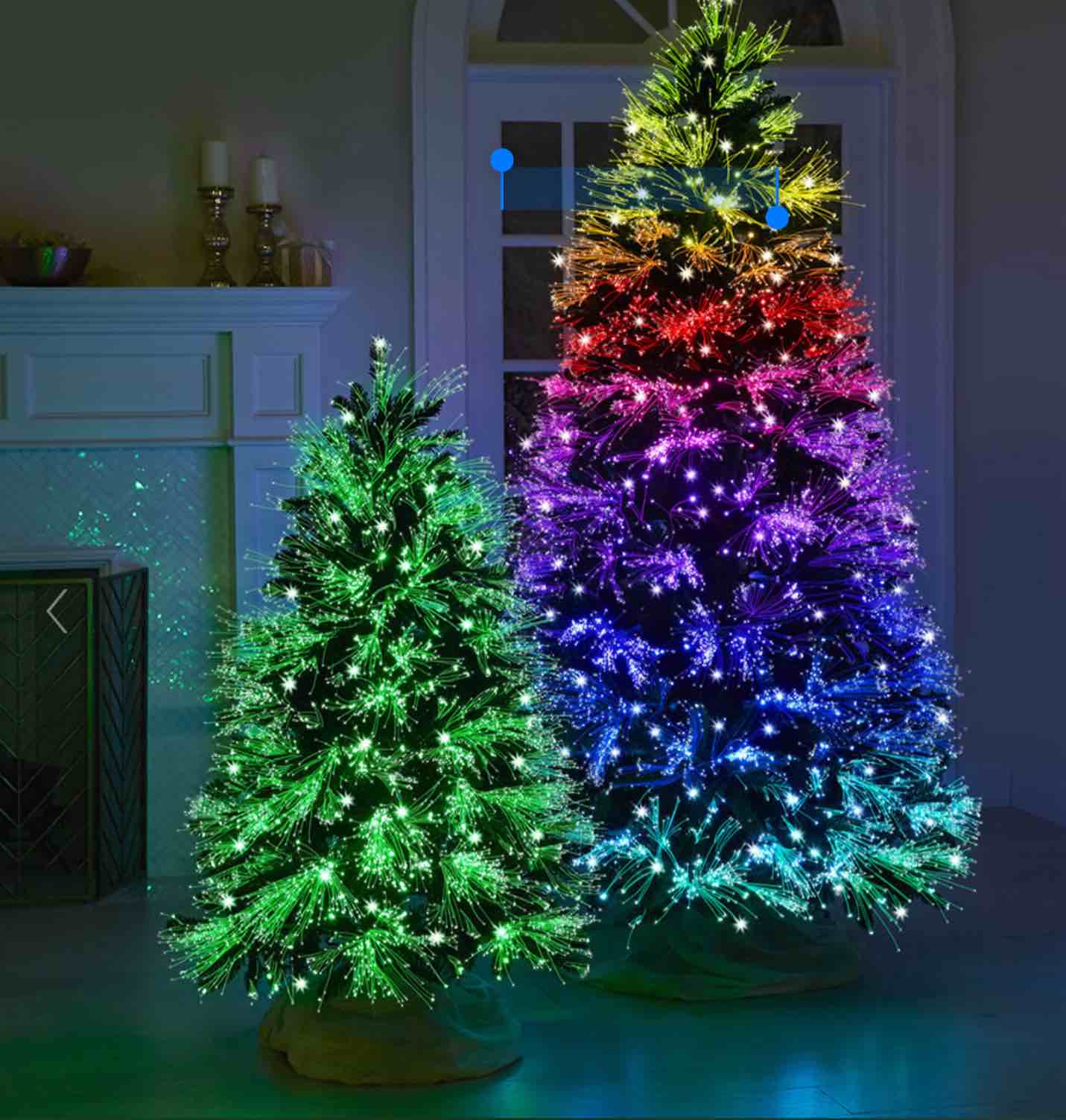 The Light Show Tree