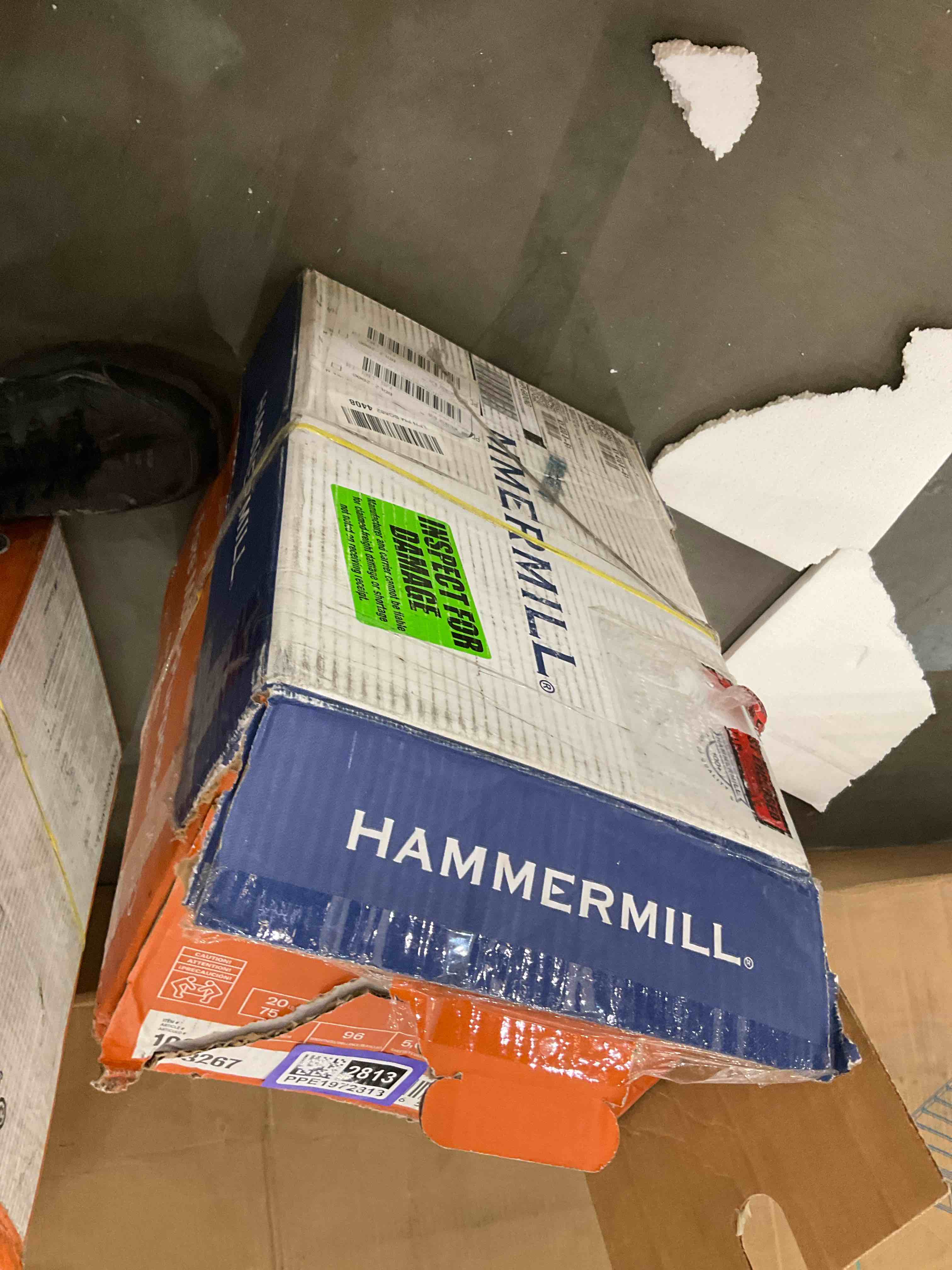 https://s3.amazonaws.com/lotting-images-prod/bidfta/PPE1972815_1742222427820.jpeg