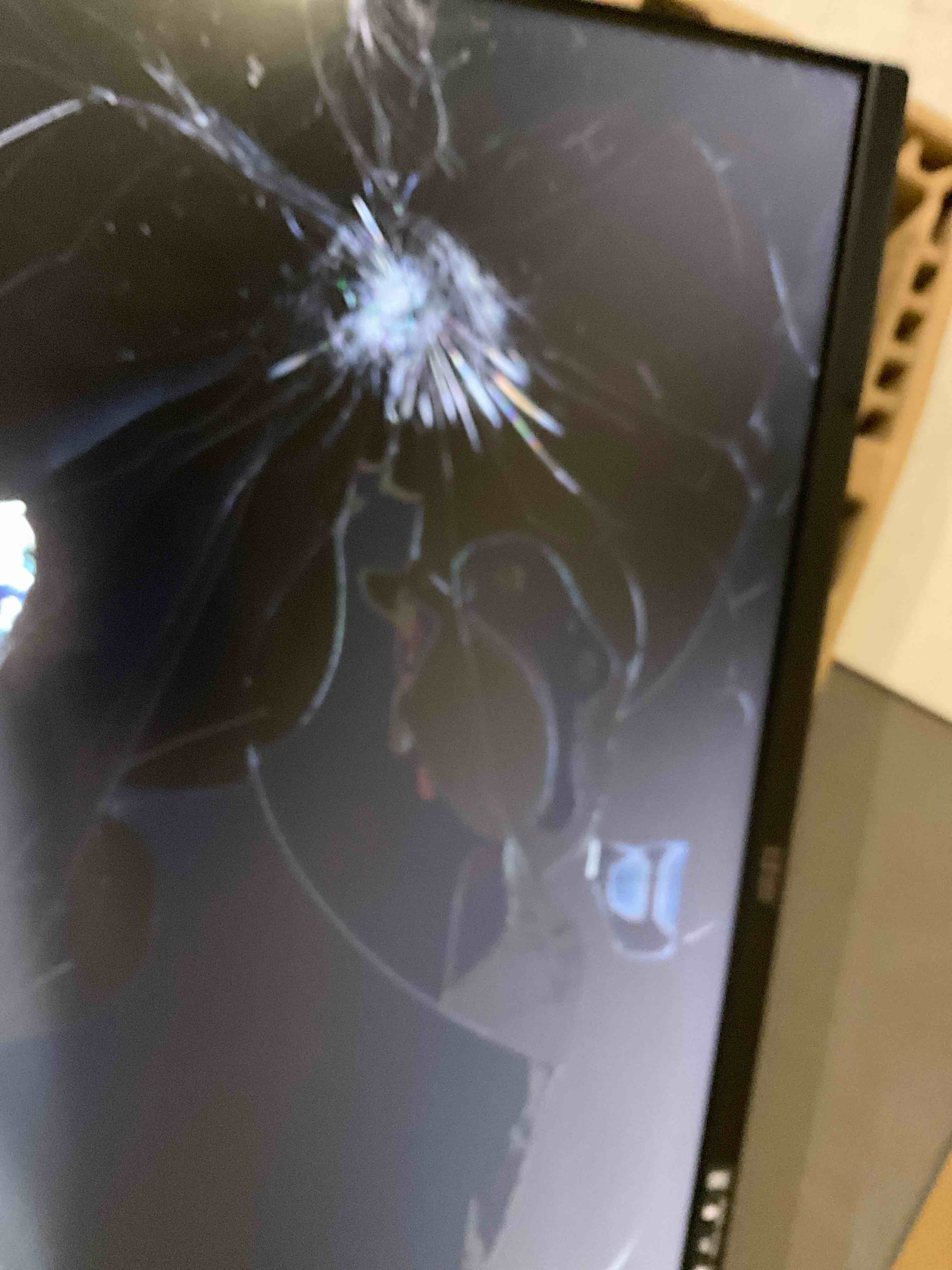 proMP251 monitor 
