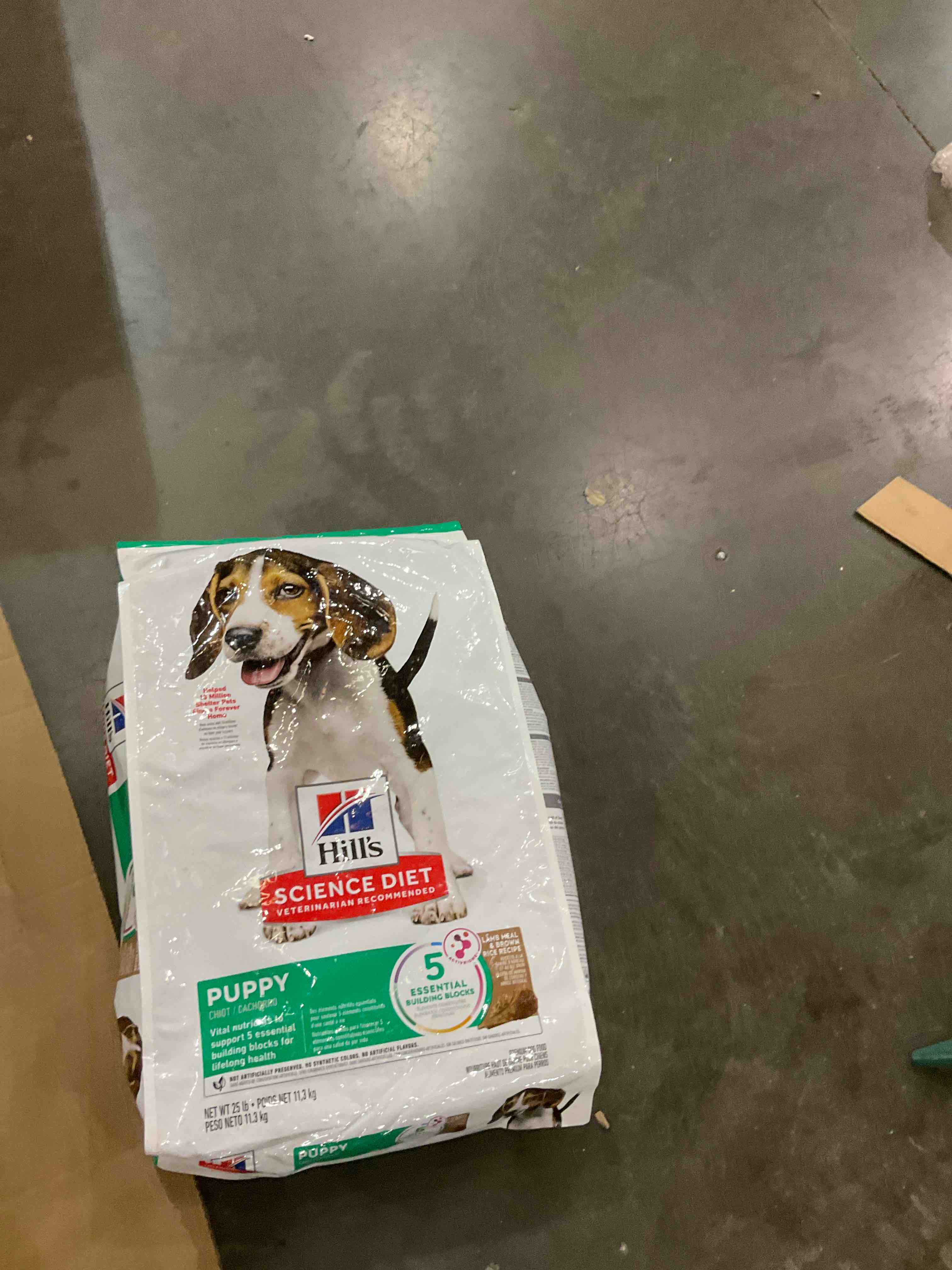 https://s3.amazonaws.com/lotting-images-prod/bidfta/PPE1979351_1741787848152.jpeg