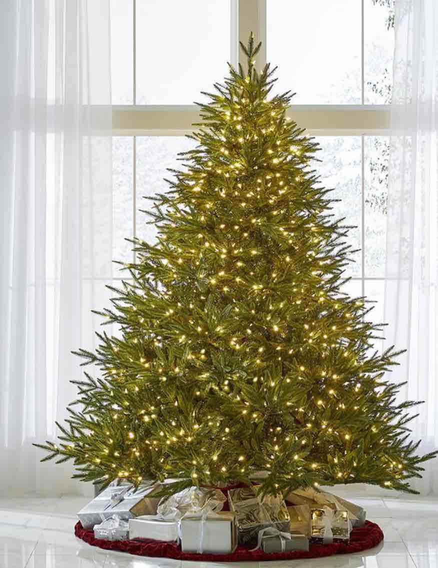 The World's Best Prelit Fraser Fir