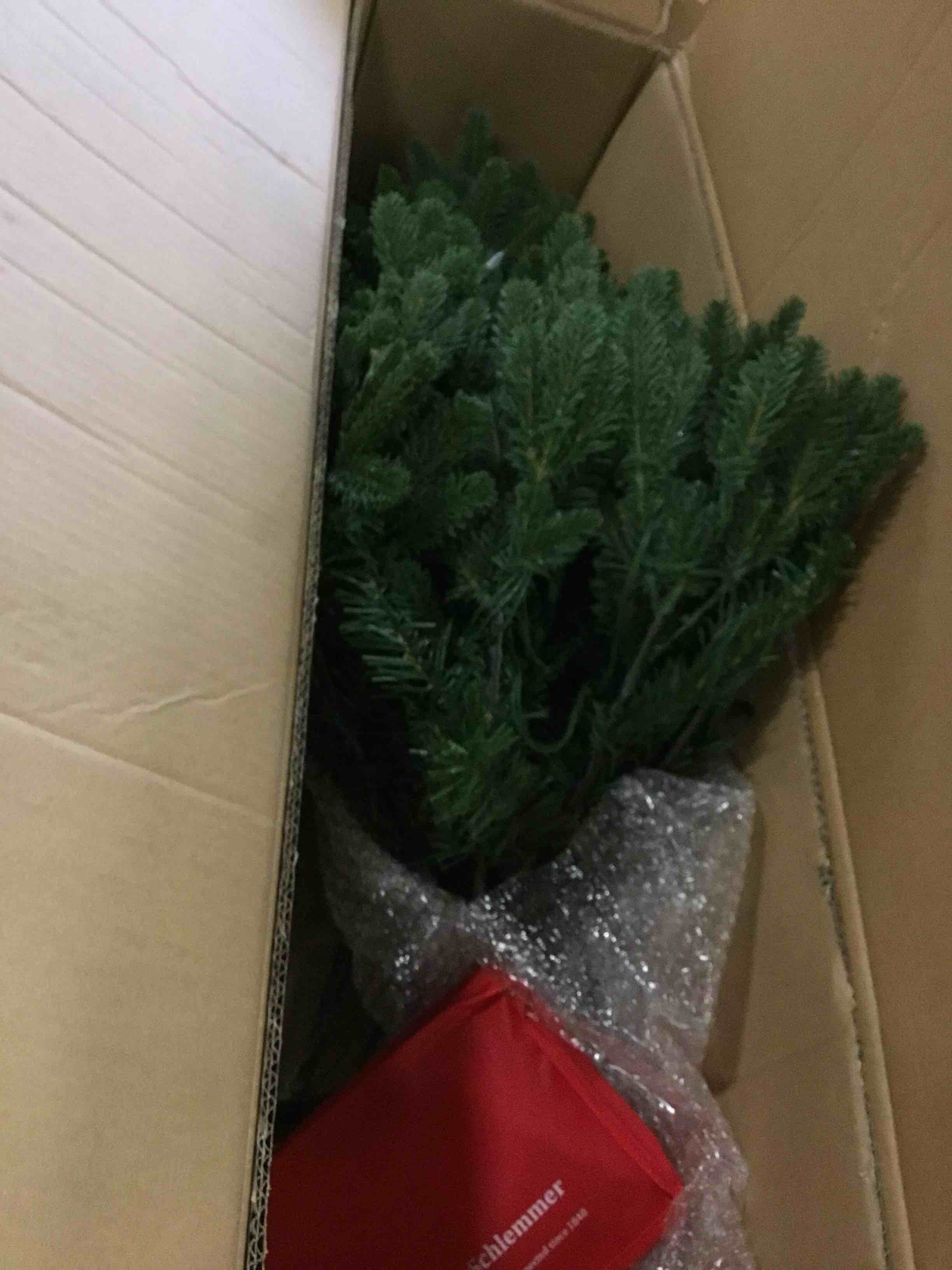 https://s3.amazonaws.com/lotting-images-prod/bidfta/PPE2044564_1743771671284.jpeg