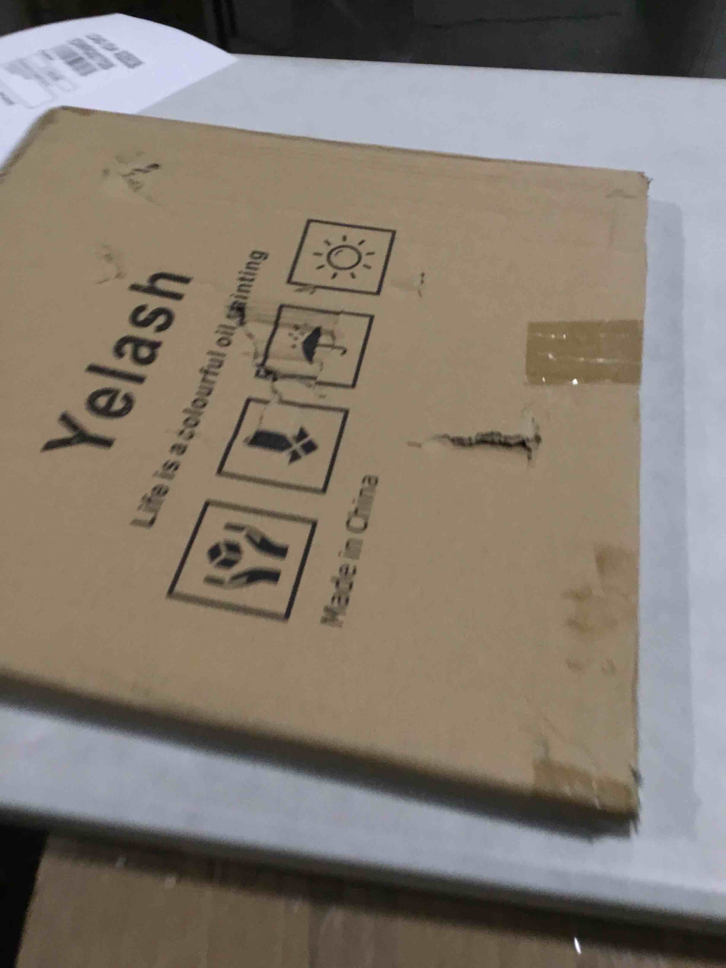 https://s3.amazonaws.com/lotting-images-prod/bidfta/PPE2057206_1739383906903.jpeg