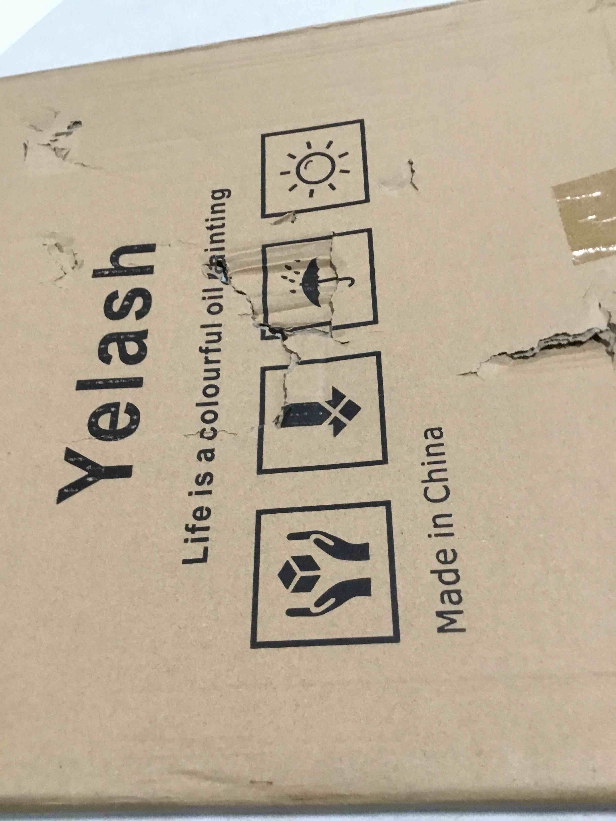 https://s3.amazonaws.com/lotting-images-prod/bidfta/PPE2057206_1739383912888.jpeg