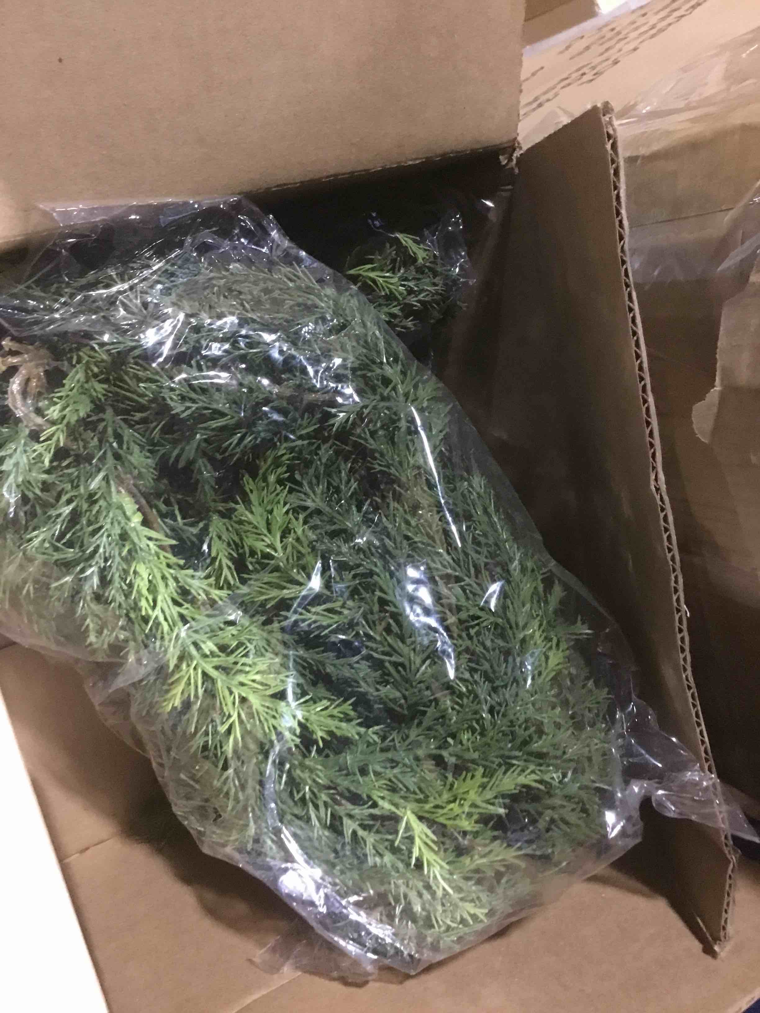 https://s3.amazonaws.com/lotting-images-prod/bidfta/PPE2058120_1740830674997.jpeg