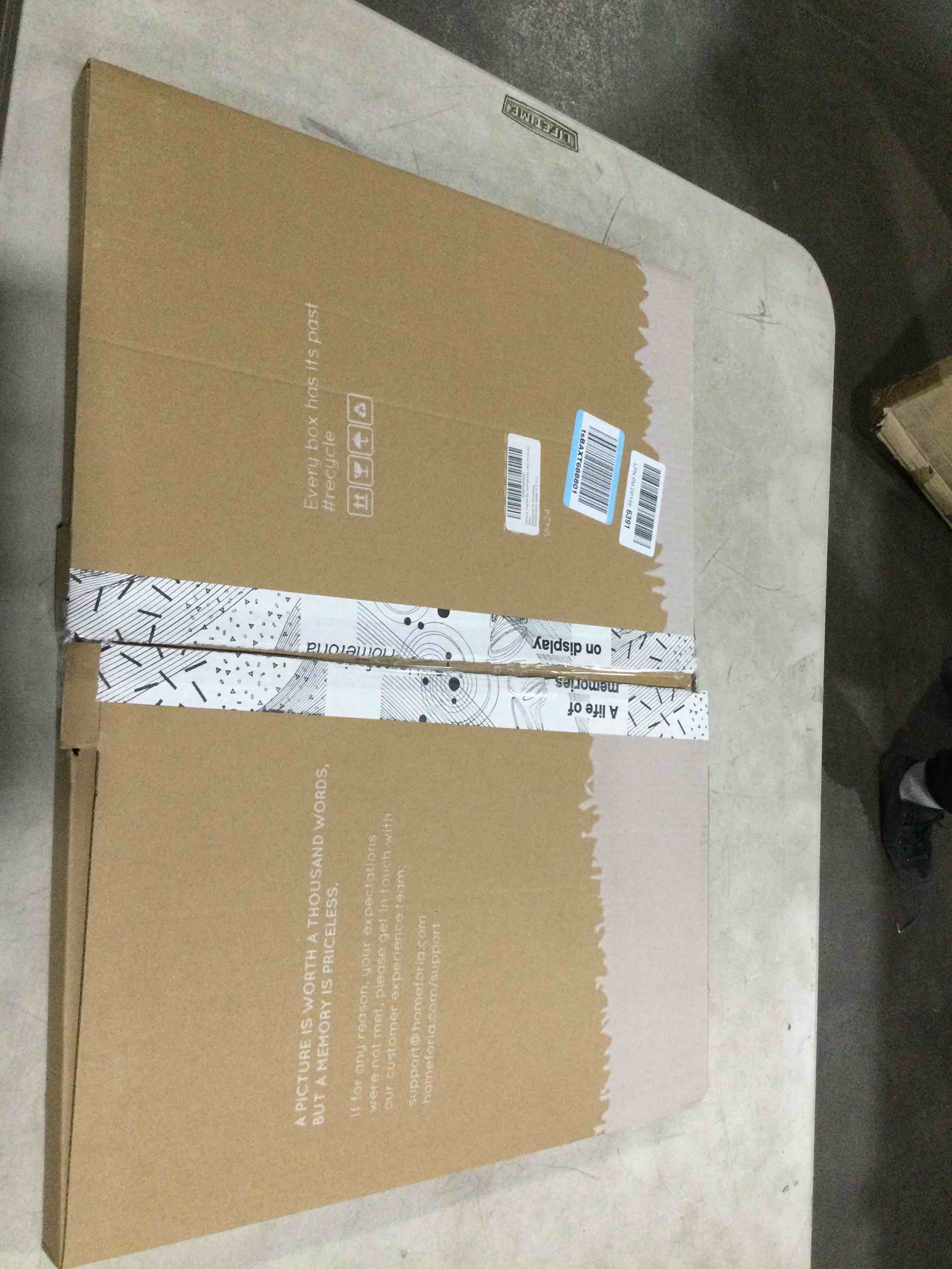 https://s3.amazonaws.com/lotting-images-prod/bidfta/PPE2058682_1741199229086.jpeg
