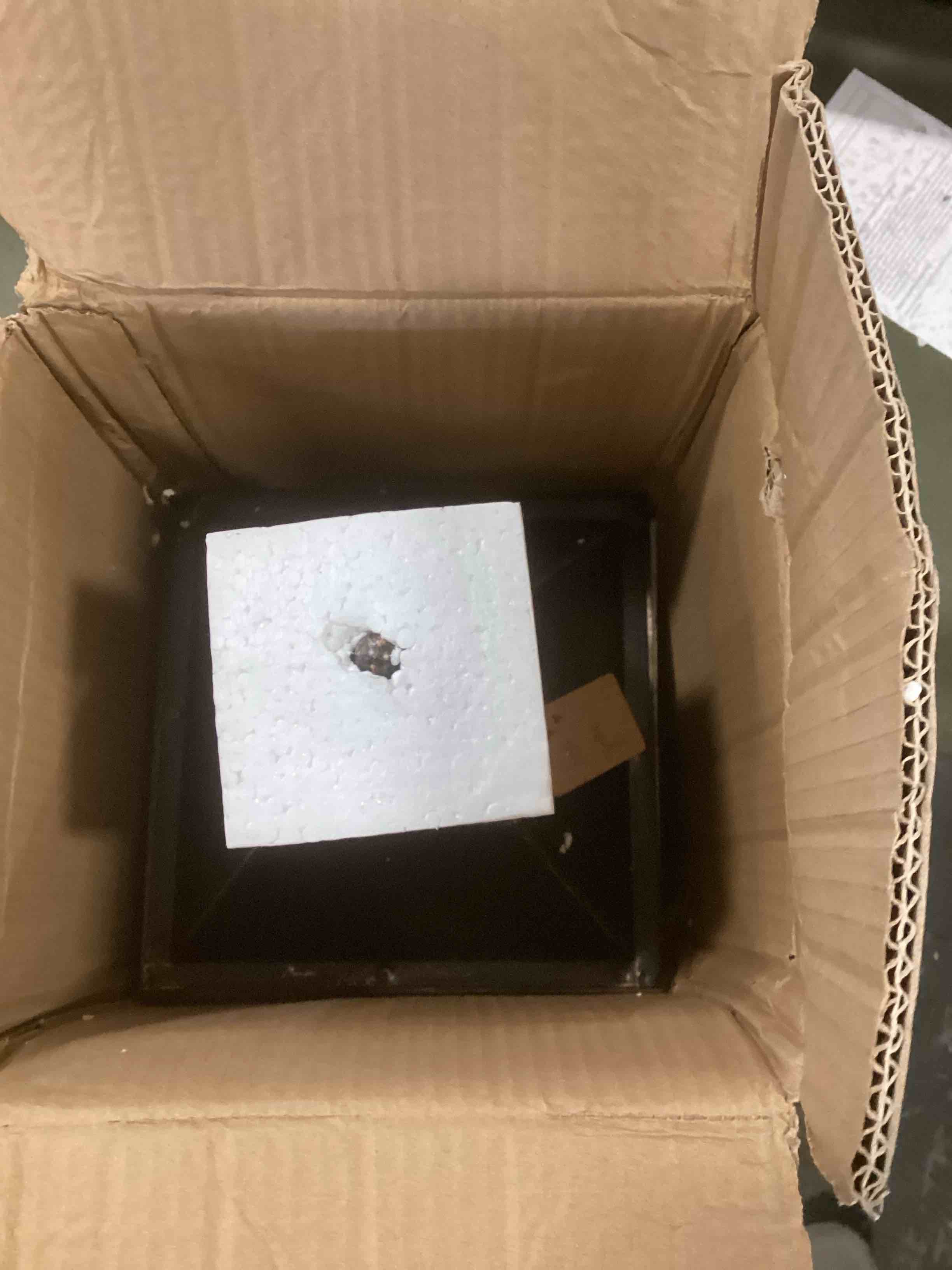 https://s3.amazonaws.com/lotting-images-prod/bidfta/PPE2075563_1741105091525.jpeg