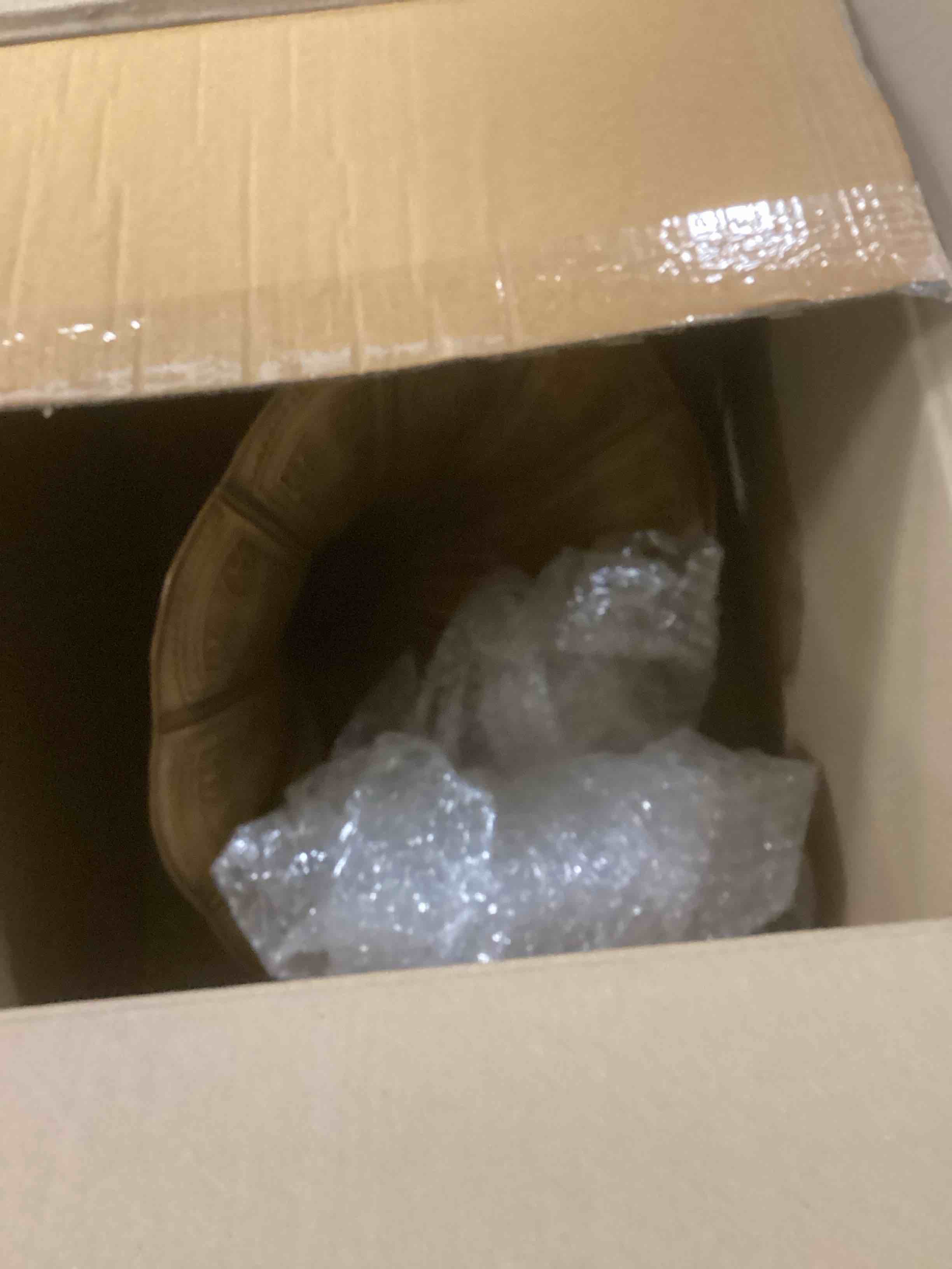 https://s3.amazonaws.com/lotting-images-prod/bidfta/PPE2078559_1739371833132.jpeg