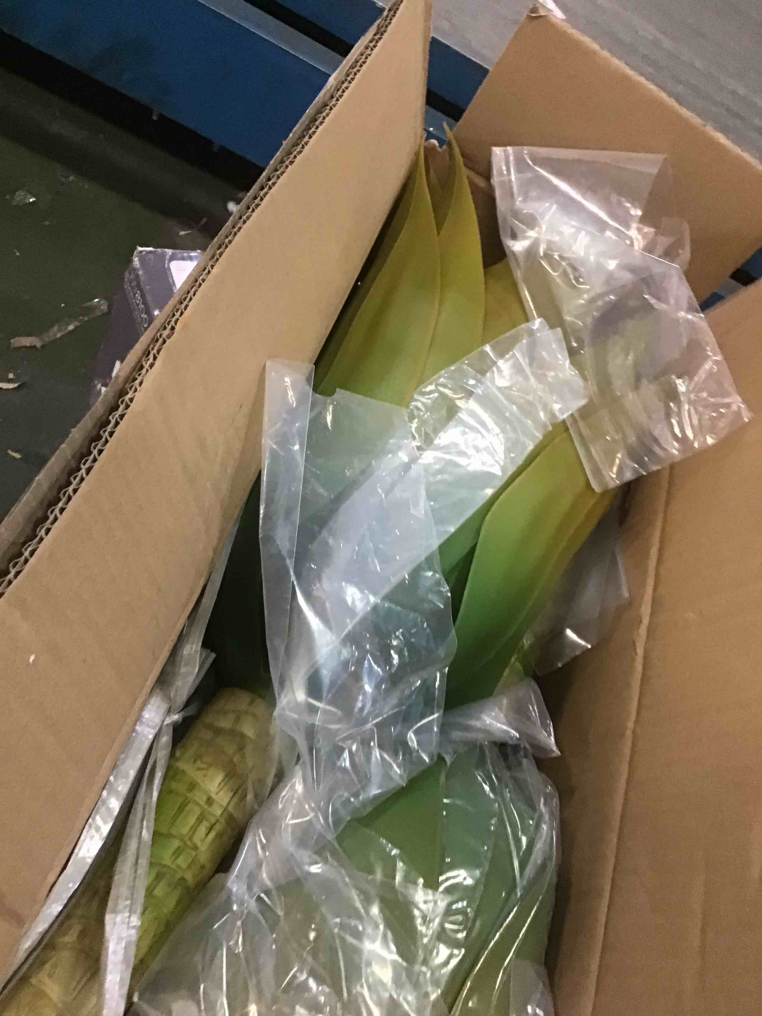 https://s3.amazonaws.com/lotting-images-prod/bidfta/PPE2097247_1739908063658.jpeg