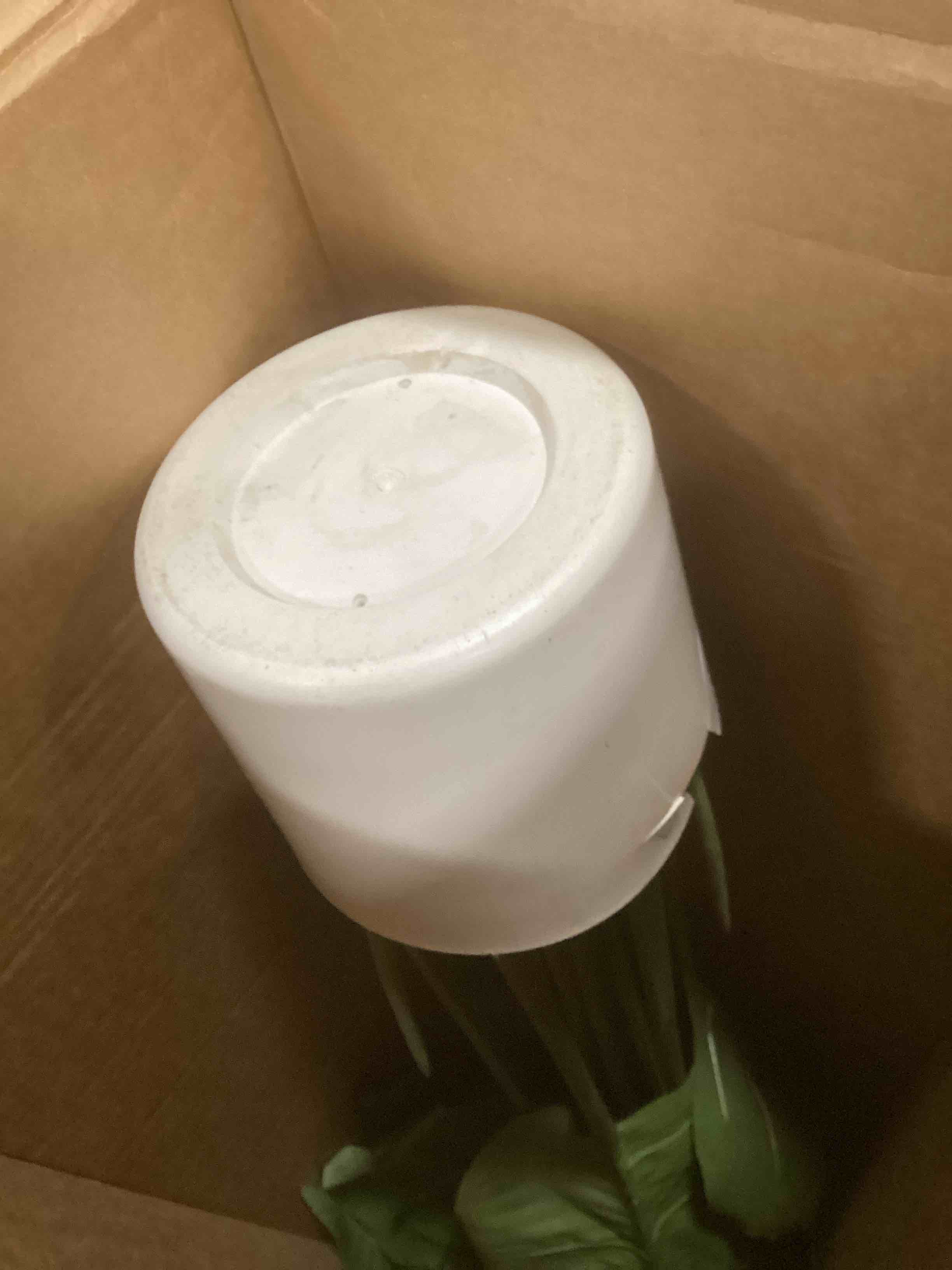 https://s3.amazonaws.com/lotting-images-prod/bidfta/PPE2101278_1740507280107.jpeg