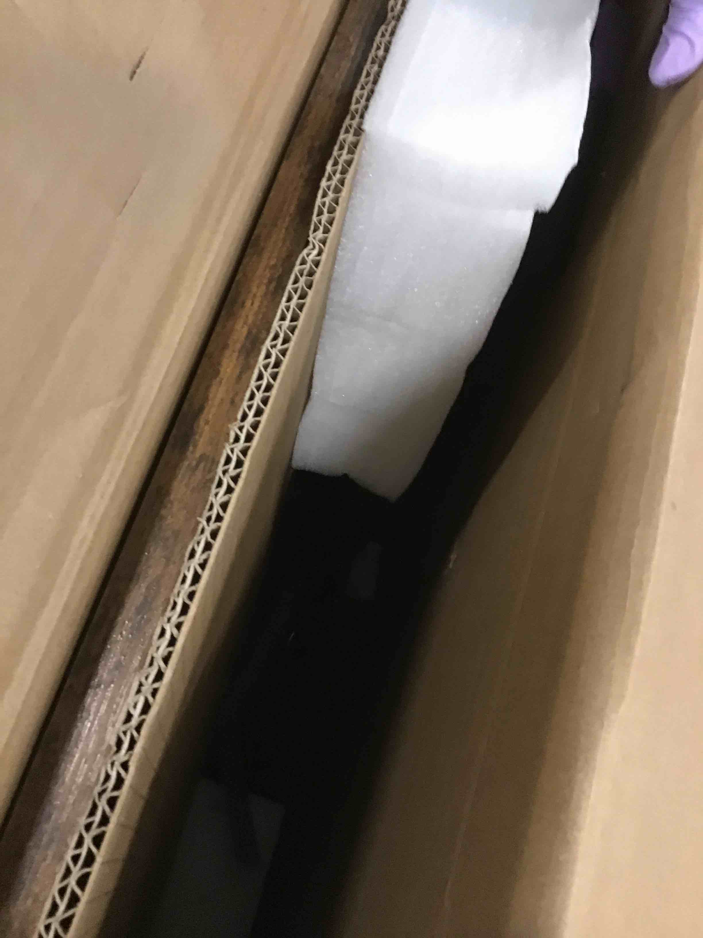 https://s3.amazonaws.com/lotting-images-prod/bidfta/PPE2107265_1736003081731.jpeg
