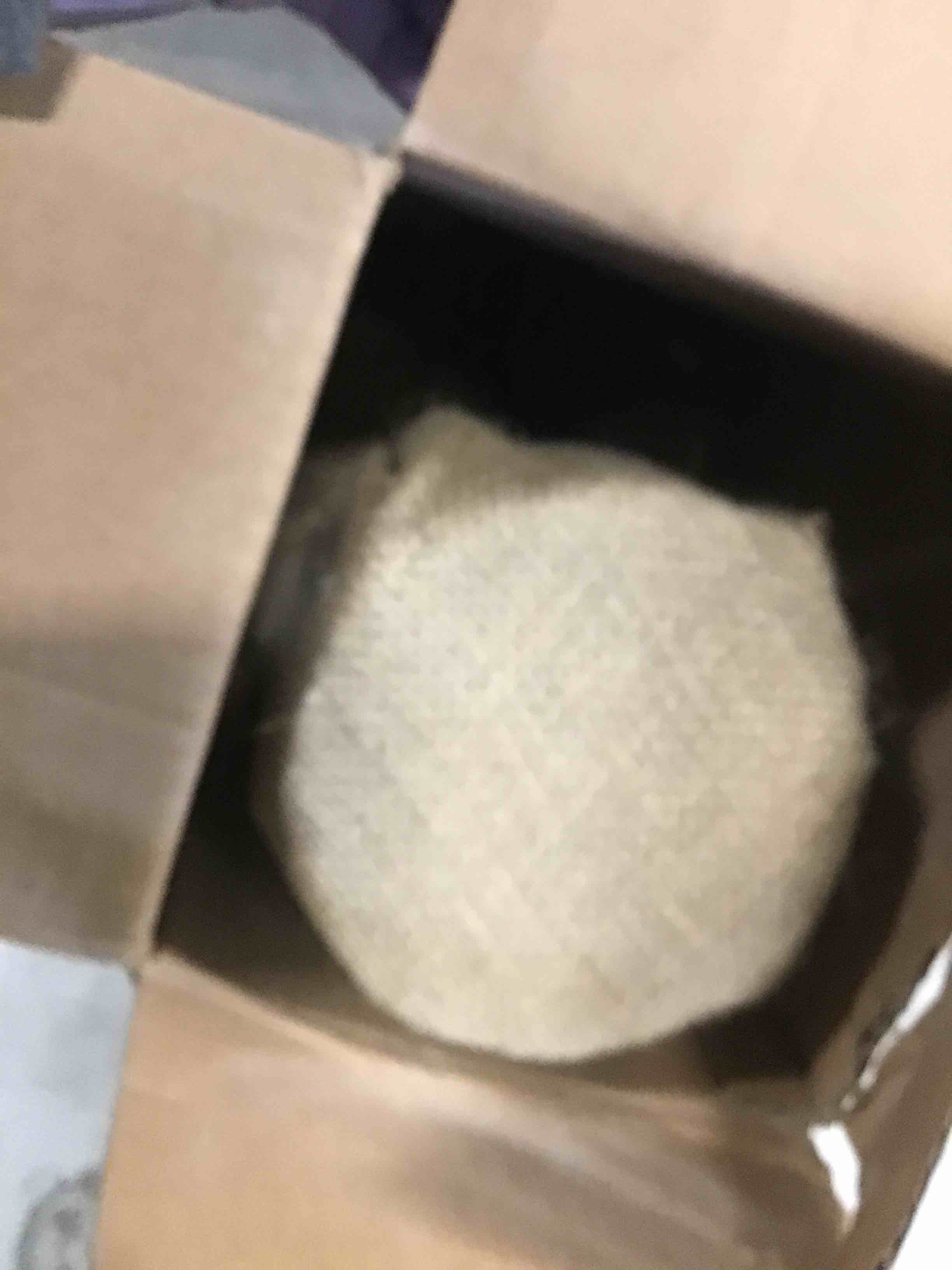 https://s3.amazonaws.com/lotting-images-prod/bidfta/PPE2108228_1736363514231.jpeg