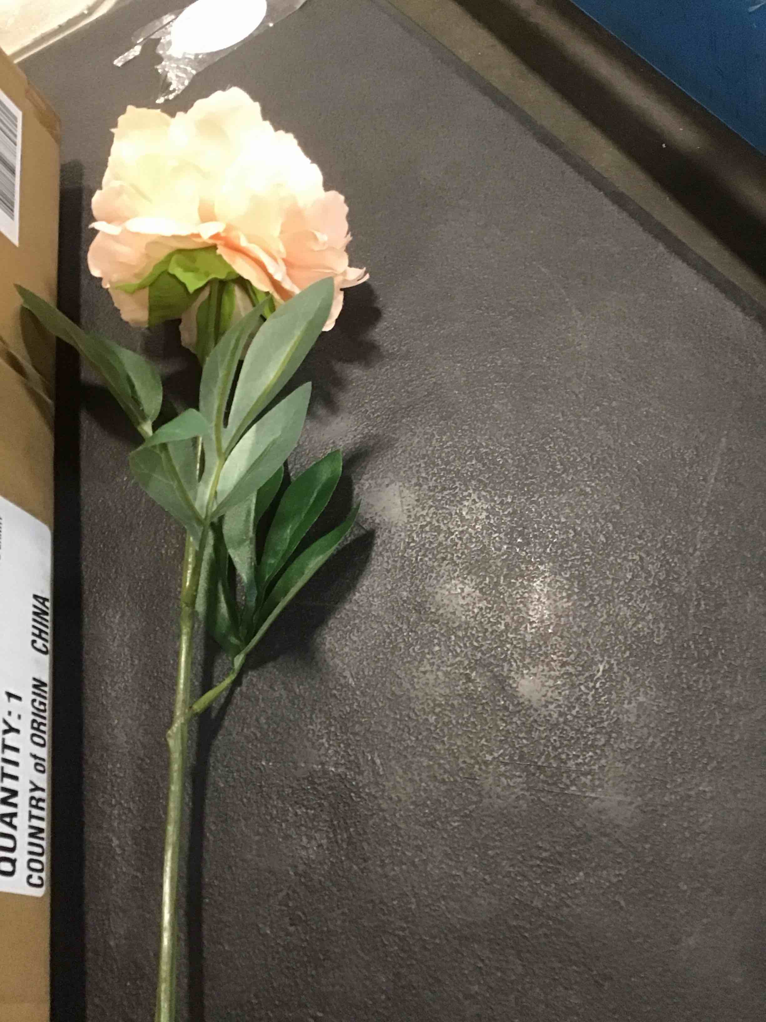 https://s3.amazonaws.com/lotting-images-prod/bidfta/PPE2117399_1737750538333.jpeg