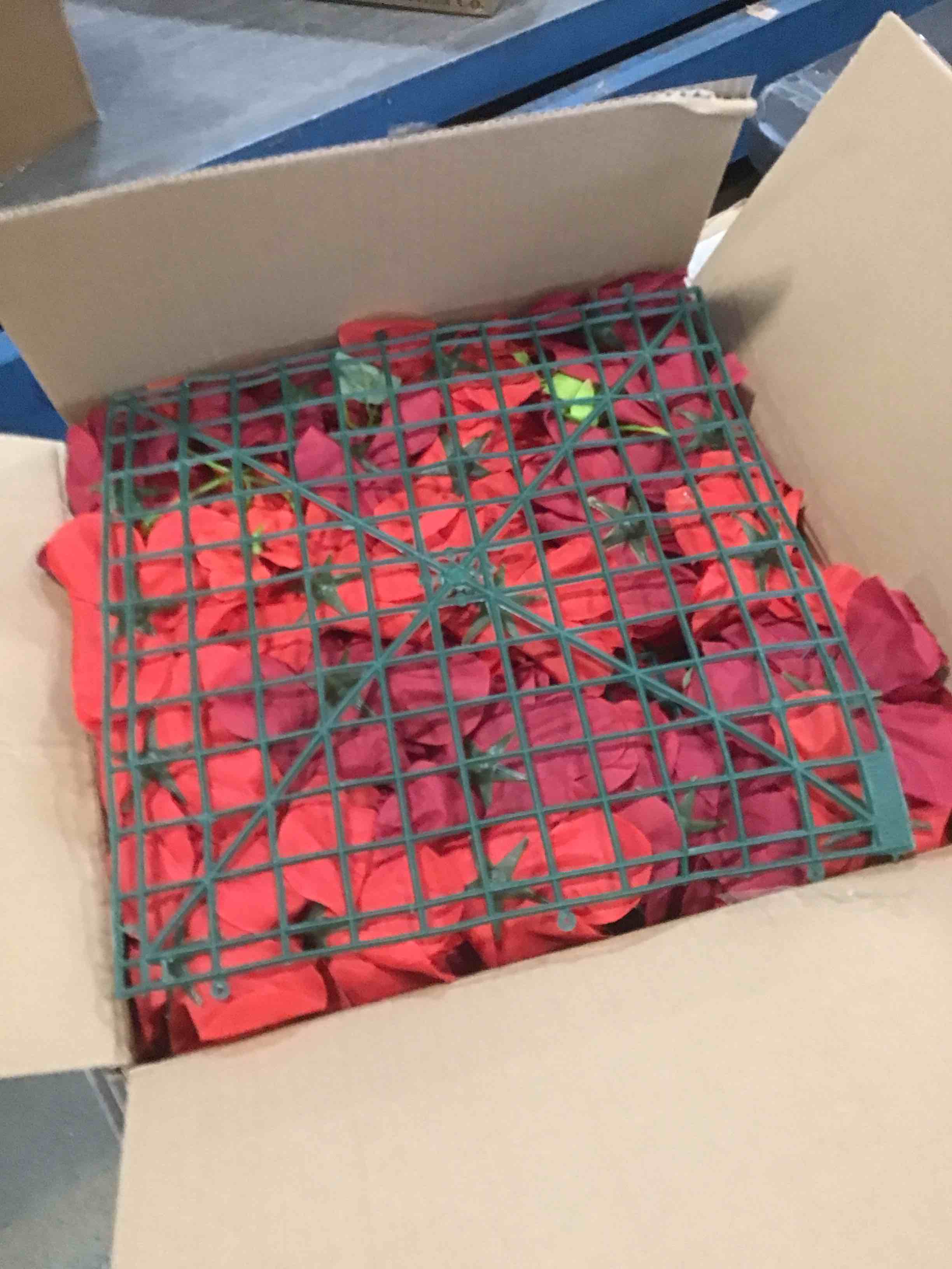 https://s3.amazonaws.com/lotting-images-prod/bidfta/PPE2117434_1737986510199.jpeg
