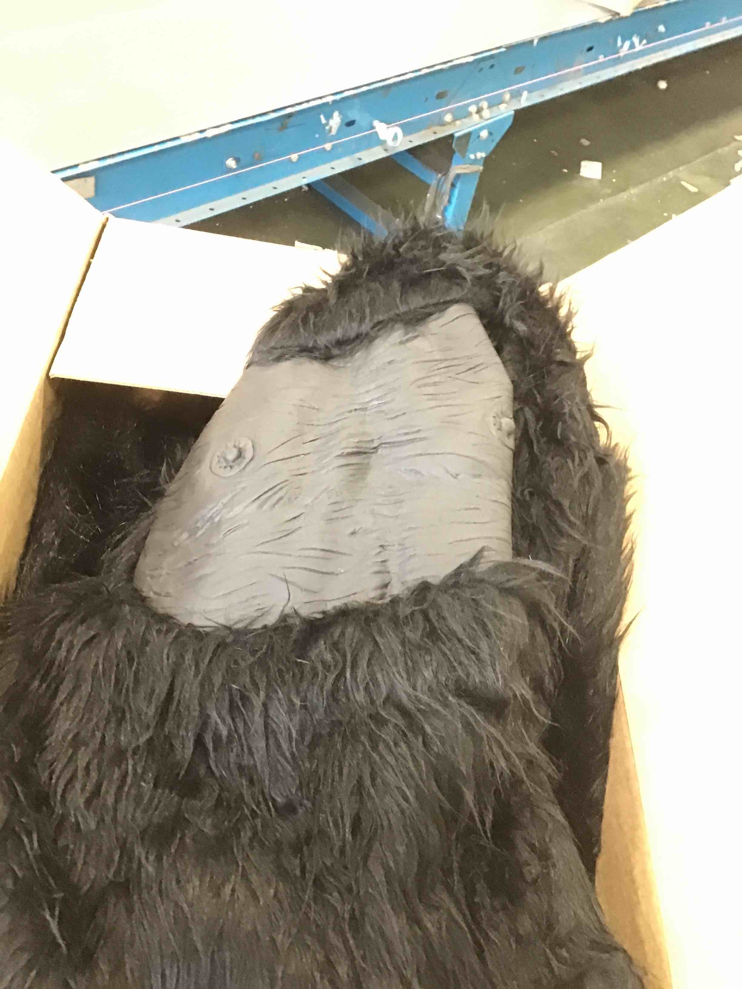 https://s3.amazonaws.com/lotting-images-prod/bidfta/PPE2143400_1741204343812.jpeg