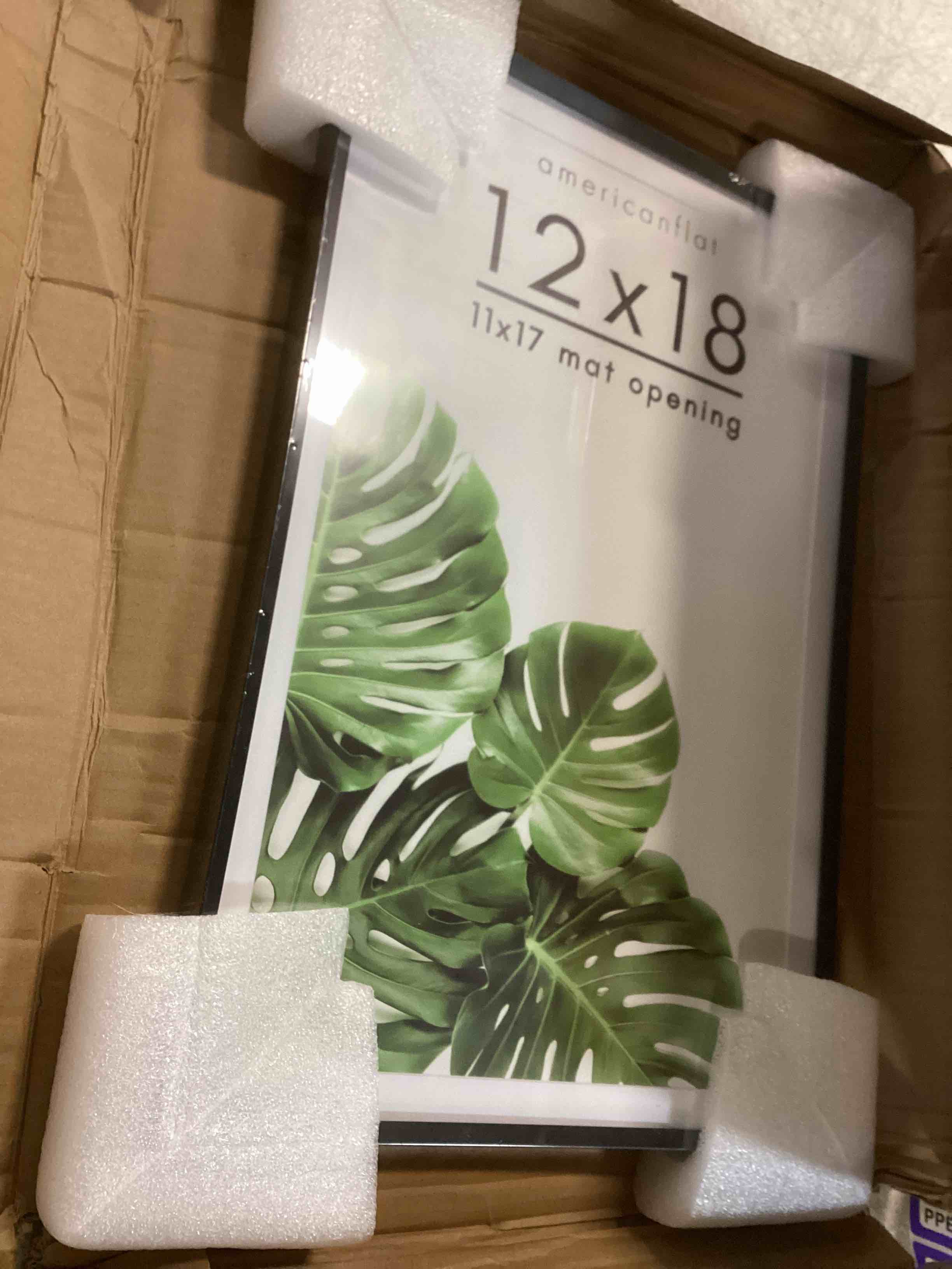 https://s3.amazonaws.com/lotting-images-prod/bidfta/PPE2147202_1741034253043.jpeg