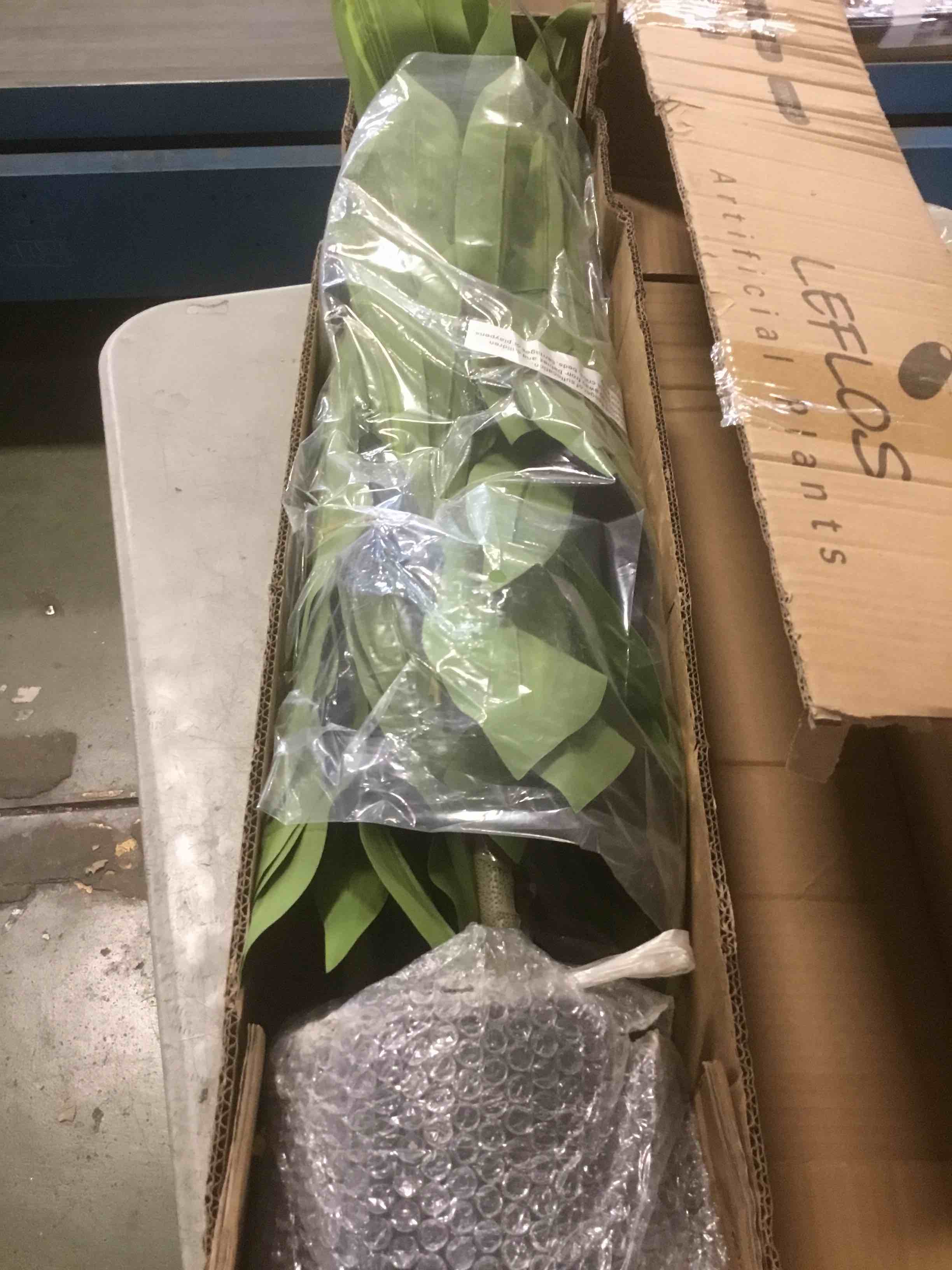 https://s3.amazonaws.com/lotting-images-prod/bidfta/PPE2150531_1741965245478.jpeg