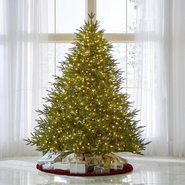 The World's Best Prelit Fraser Fir 7.5FT