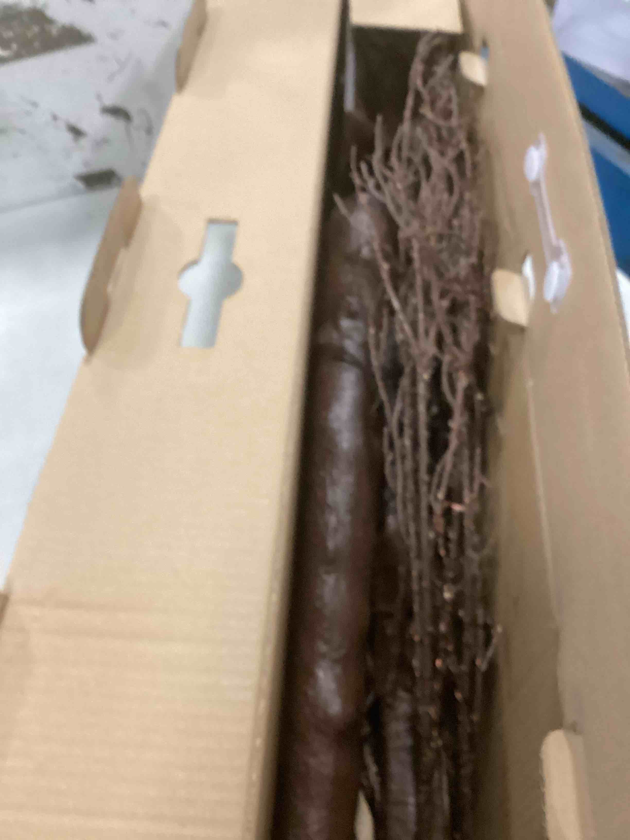 https://s3.amazonaws.com/lotting-images-prod/bidfta/PPE2160437_1739994638563.jpeg
