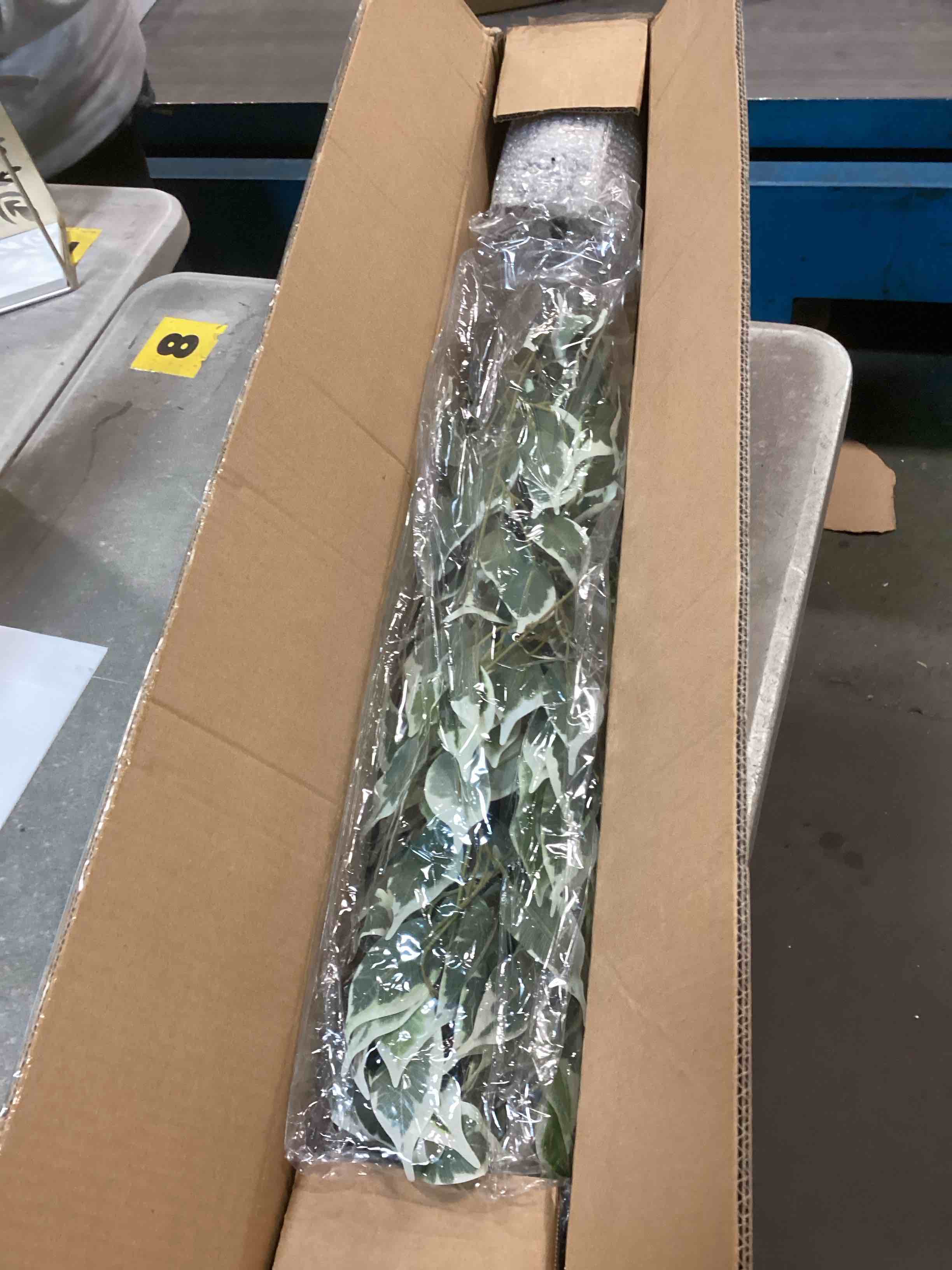 https://s3.amazonaws.com/lotting-images-prod/bidfta/PPE2186889_1738340610045.jpeg