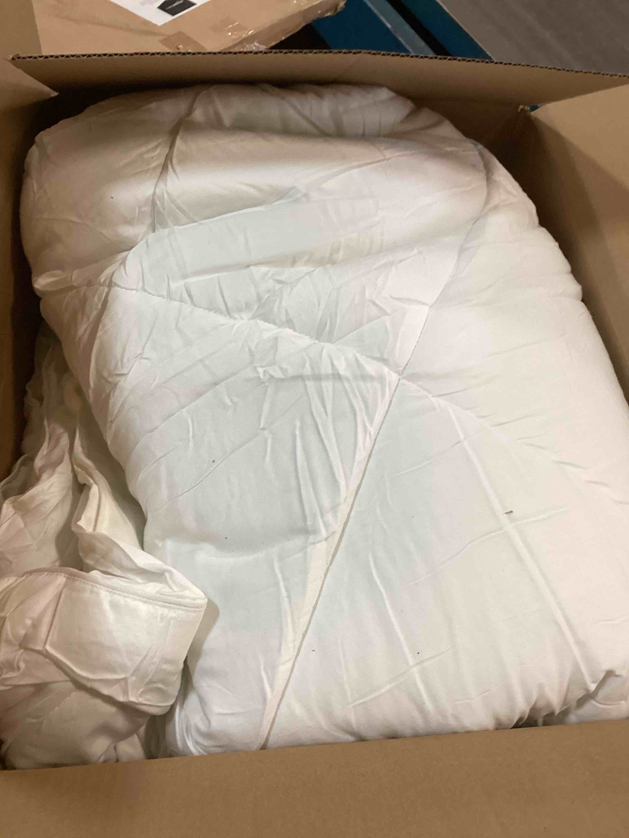 https://s3.amazonaws.com/lotting-images-prod/bidfta/PPE2187423_1741117901255.jpeg