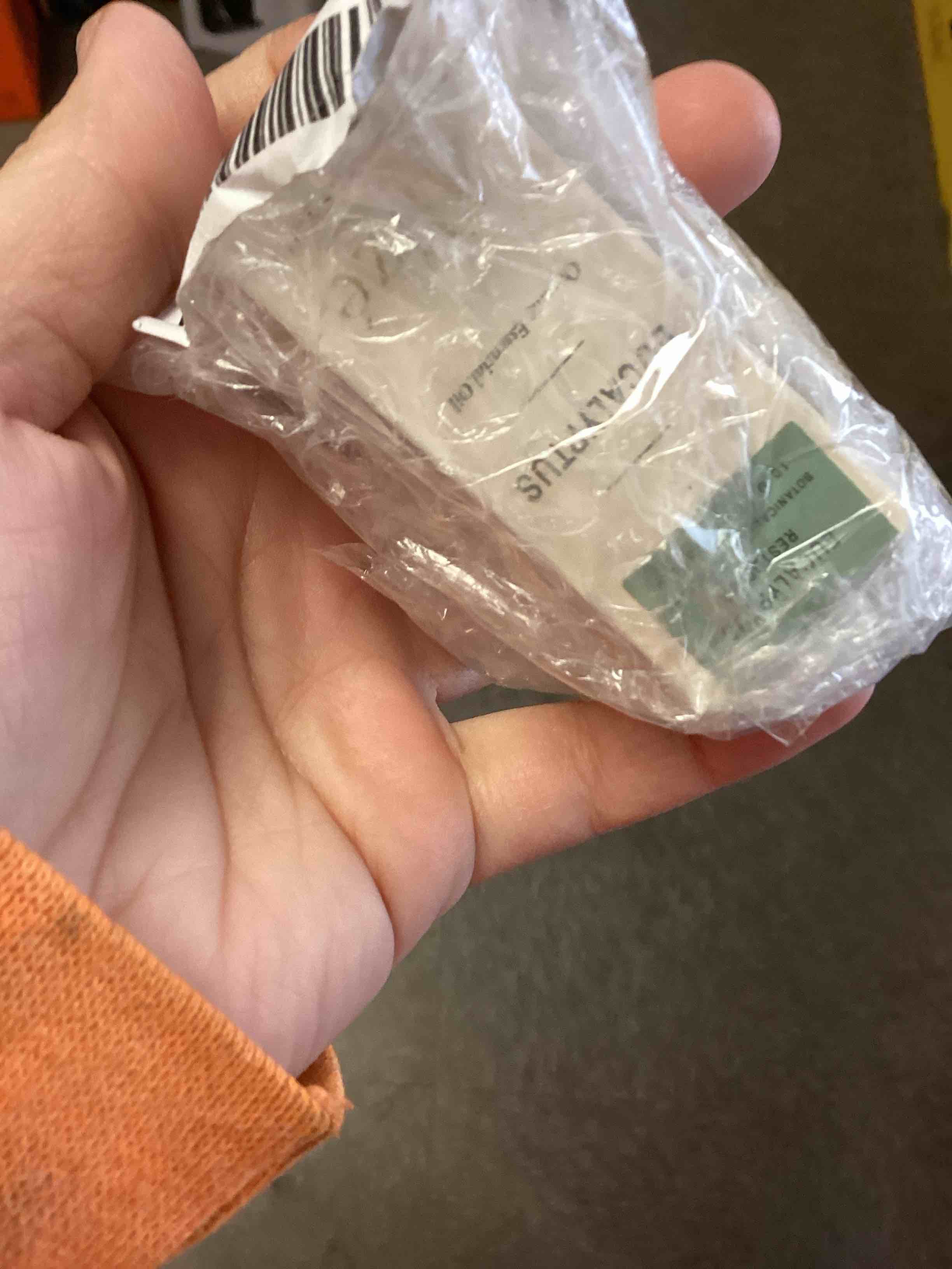 Alizé Aromatherapy Eucalyptus Essential Oil, USDA Organic 100% Natural & Pure Essential Oils for Dif