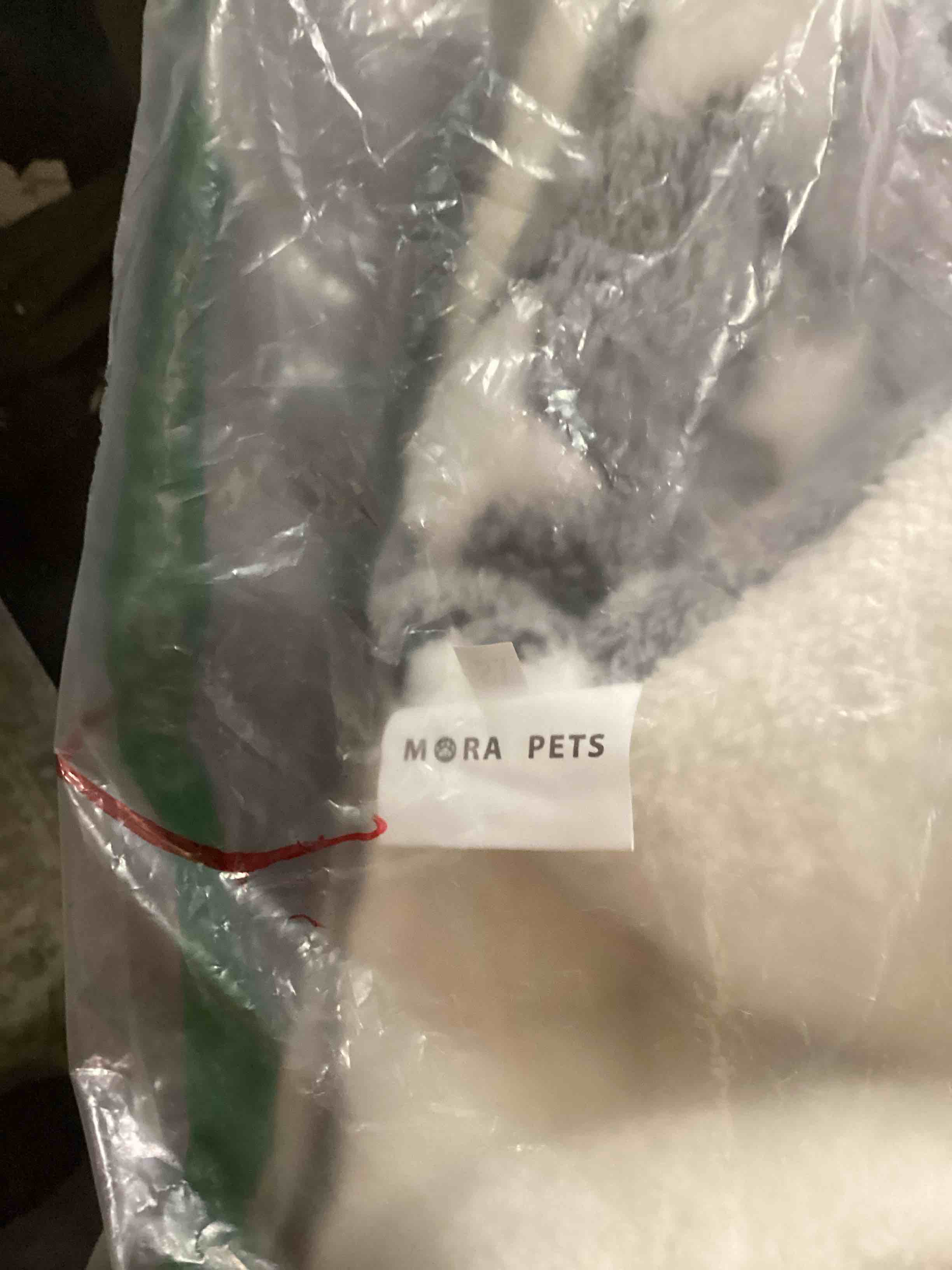 Condition photo showing As Is for pet Blanket