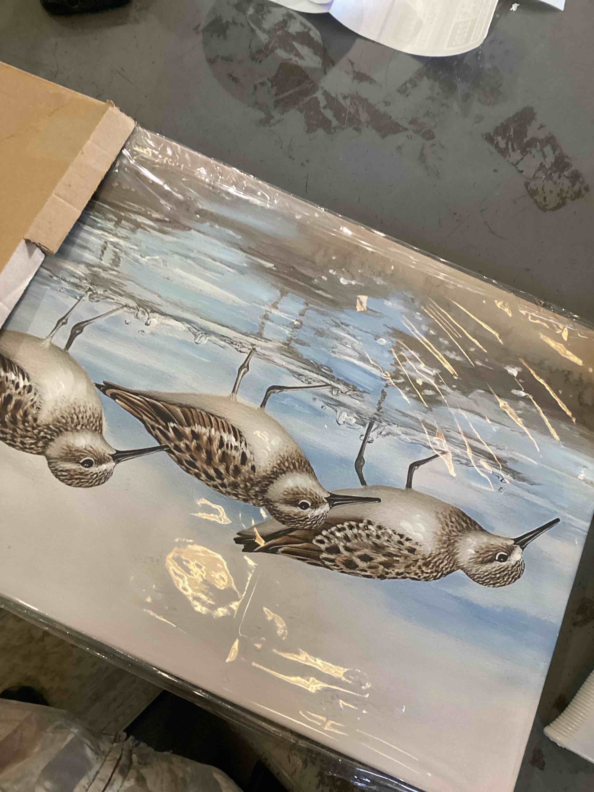 Condition photo showing As Is for bird picture 