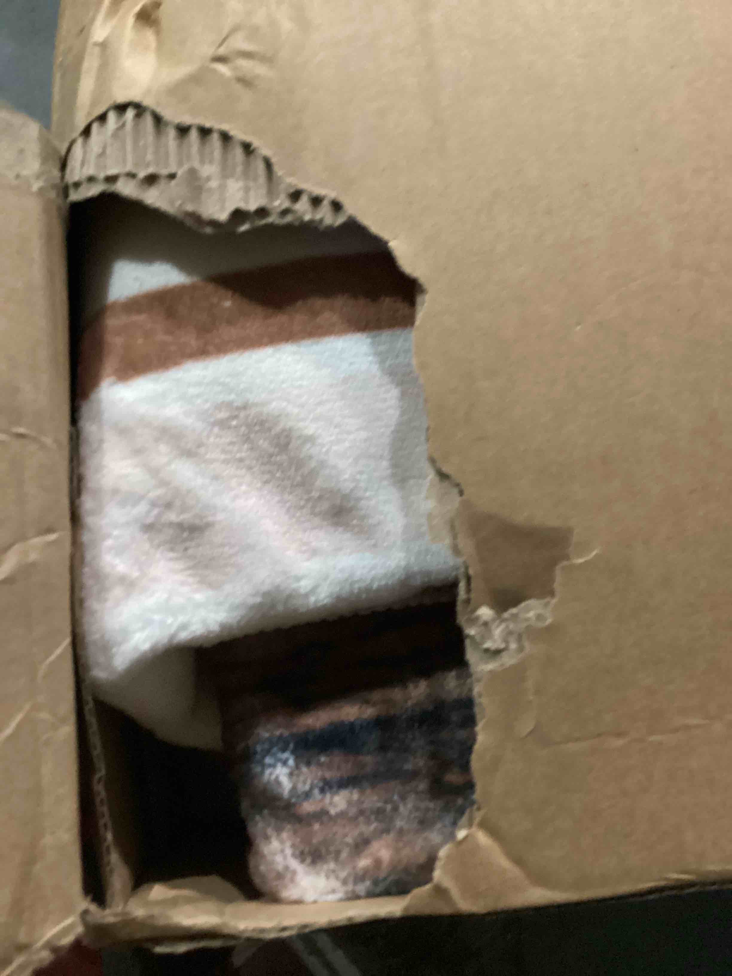 Condition photo showing As Is for Dunzy Christmas Area Rug 5 x 7 ft Brown Xmas Tree Merry Christmas Area Washable Rug Winter Village Xmas Non Slip Soft Indoor Decor for Living Room Kitchen Entryway Bathroom Bedroom Laundry Room