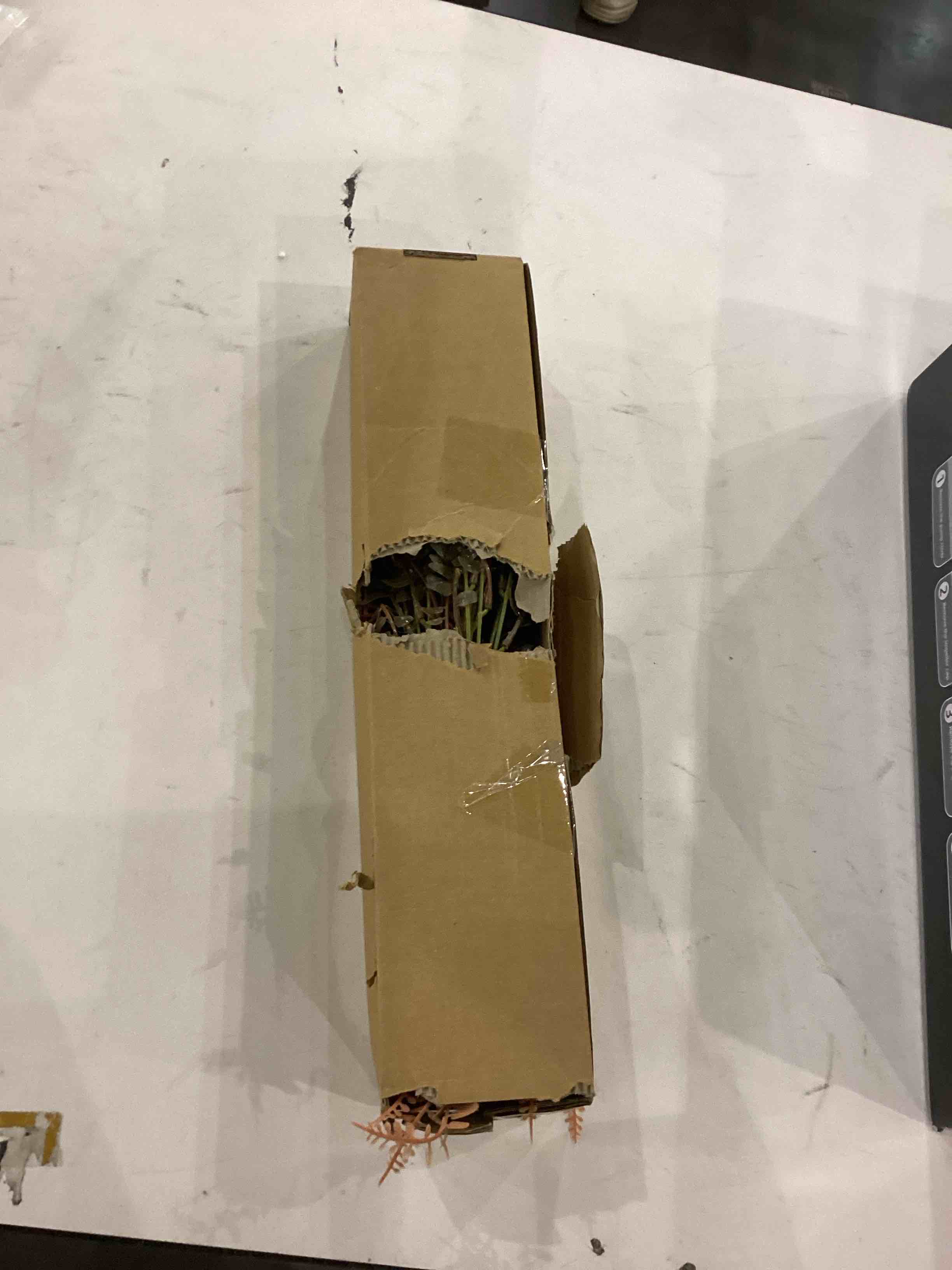 Artificial Fern Stems 50 Pack Fall Floral Picks and Sprays 6.5 Inch Small Fern Branches for Autumn Thanksgiving Harvest Christmas Tree DIY Decorations