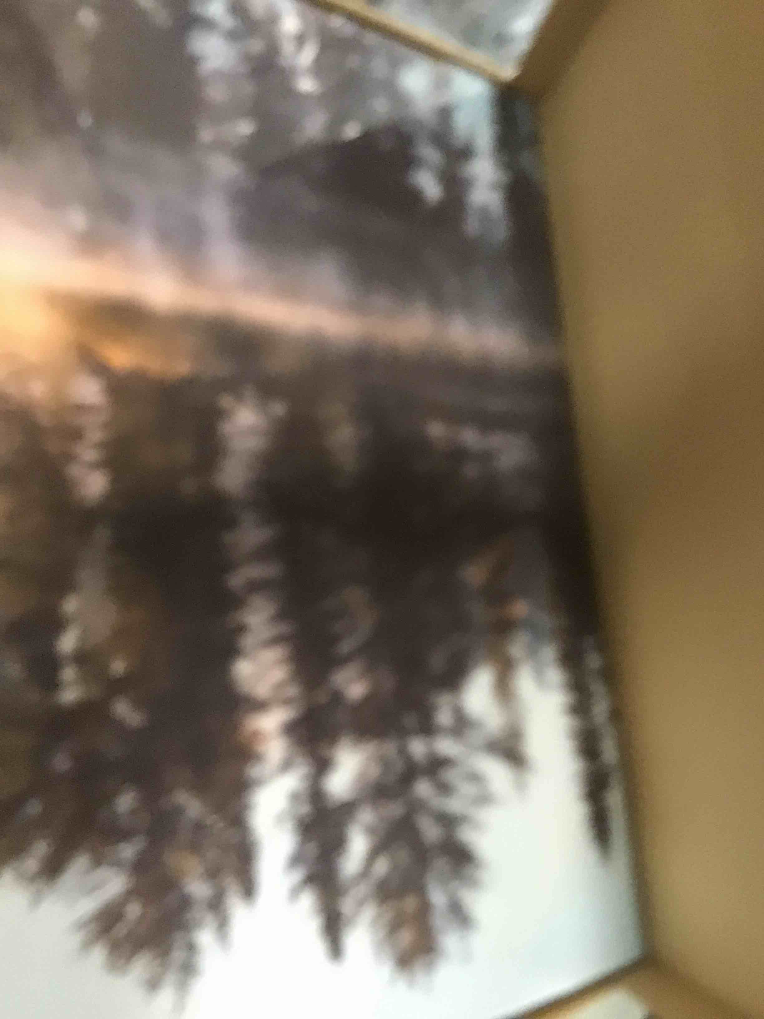 https://s3.amazonaws.com/lotting-images-prod/bidfta/PPE2235386_1738165936704.jpeg