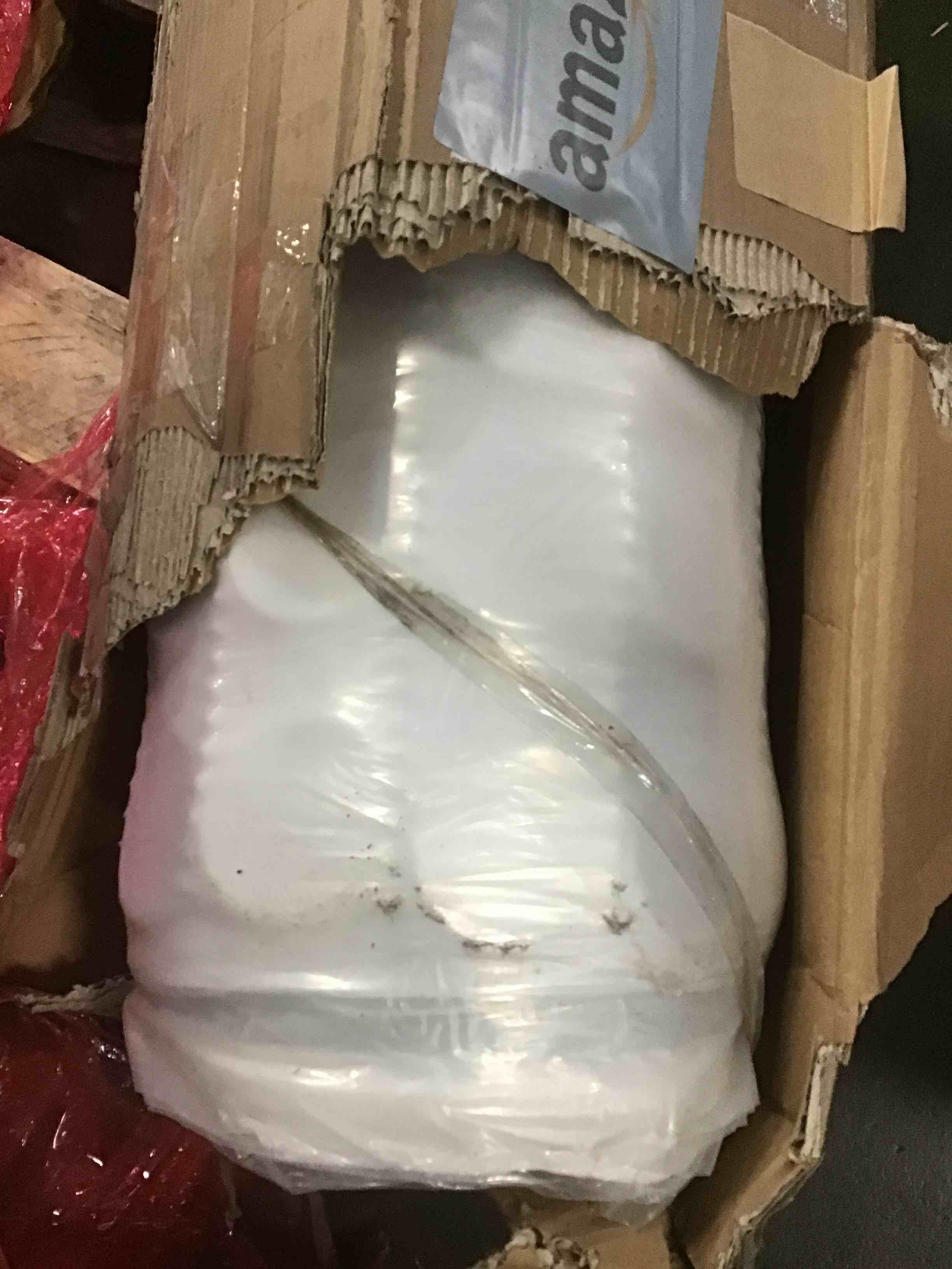 https://s3.amazonaws.com/lotting-images-prod/bidfta/PPE2238072_1740073068448.jpeg