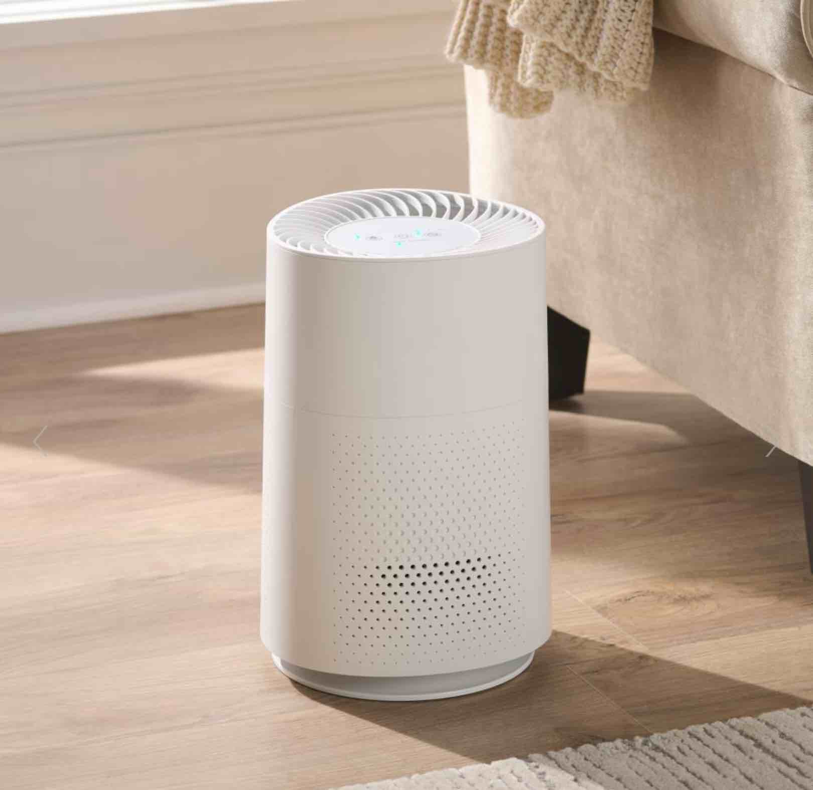 The Compact Allergen, Mold, And Odor Removing Air Purifier