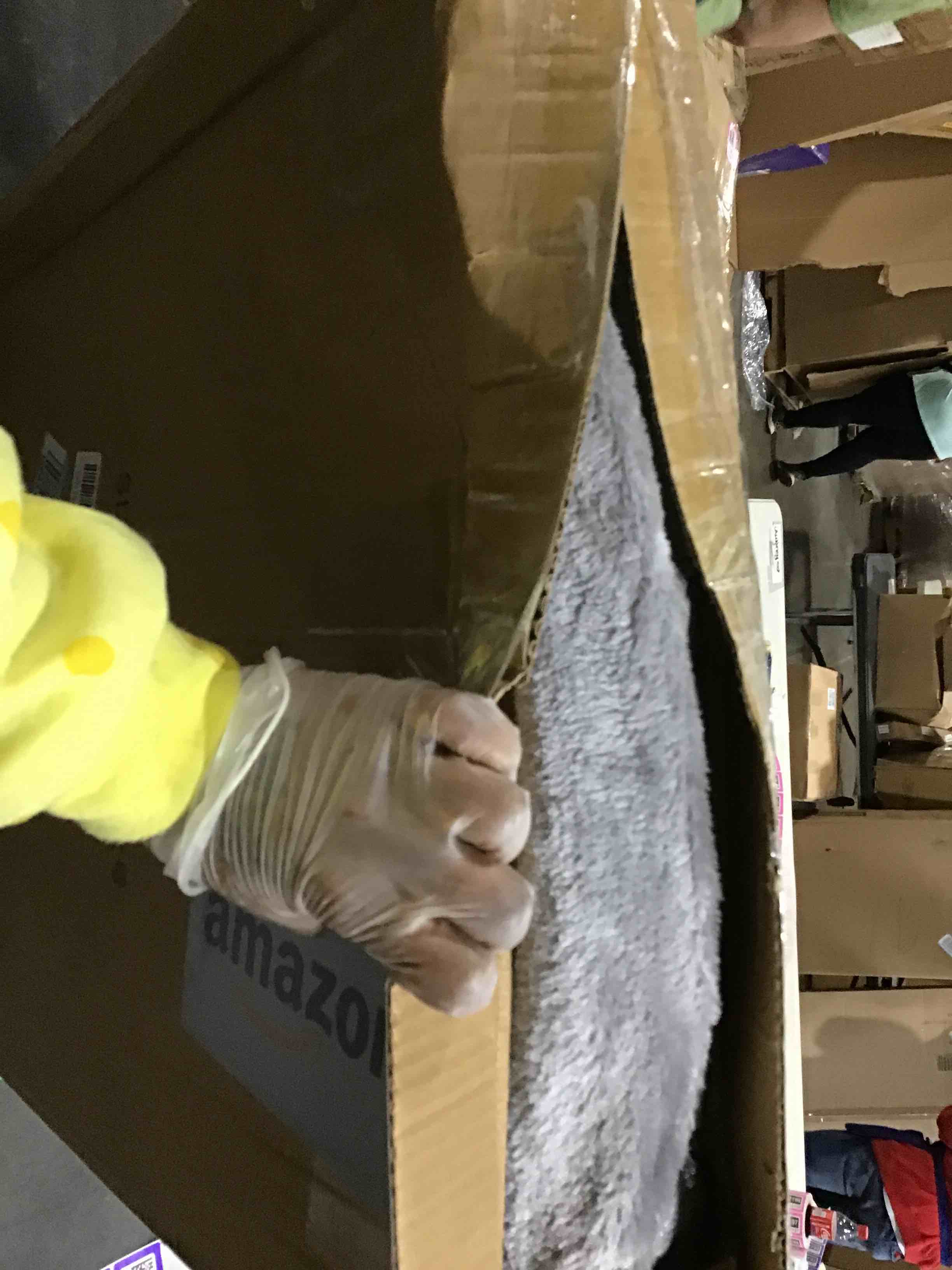 https://s3.amazonaws.com/lotting-images-prod/bidfta/PPE2276178_1743436284279.jpeg