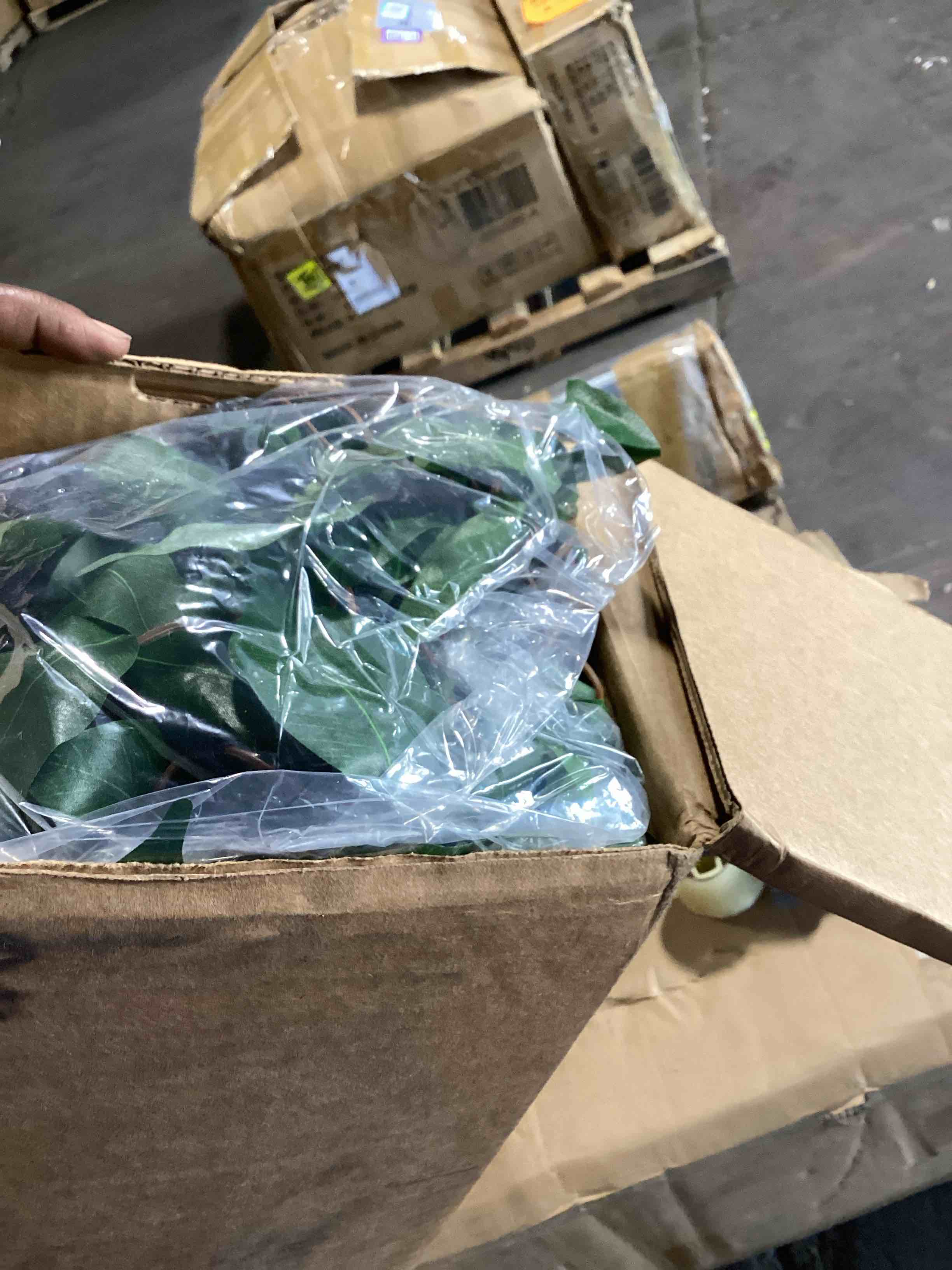 https://s3.amazonaws.com/lotting-images-prod/bidfta/PPE2280125_1745509753731.jpeg