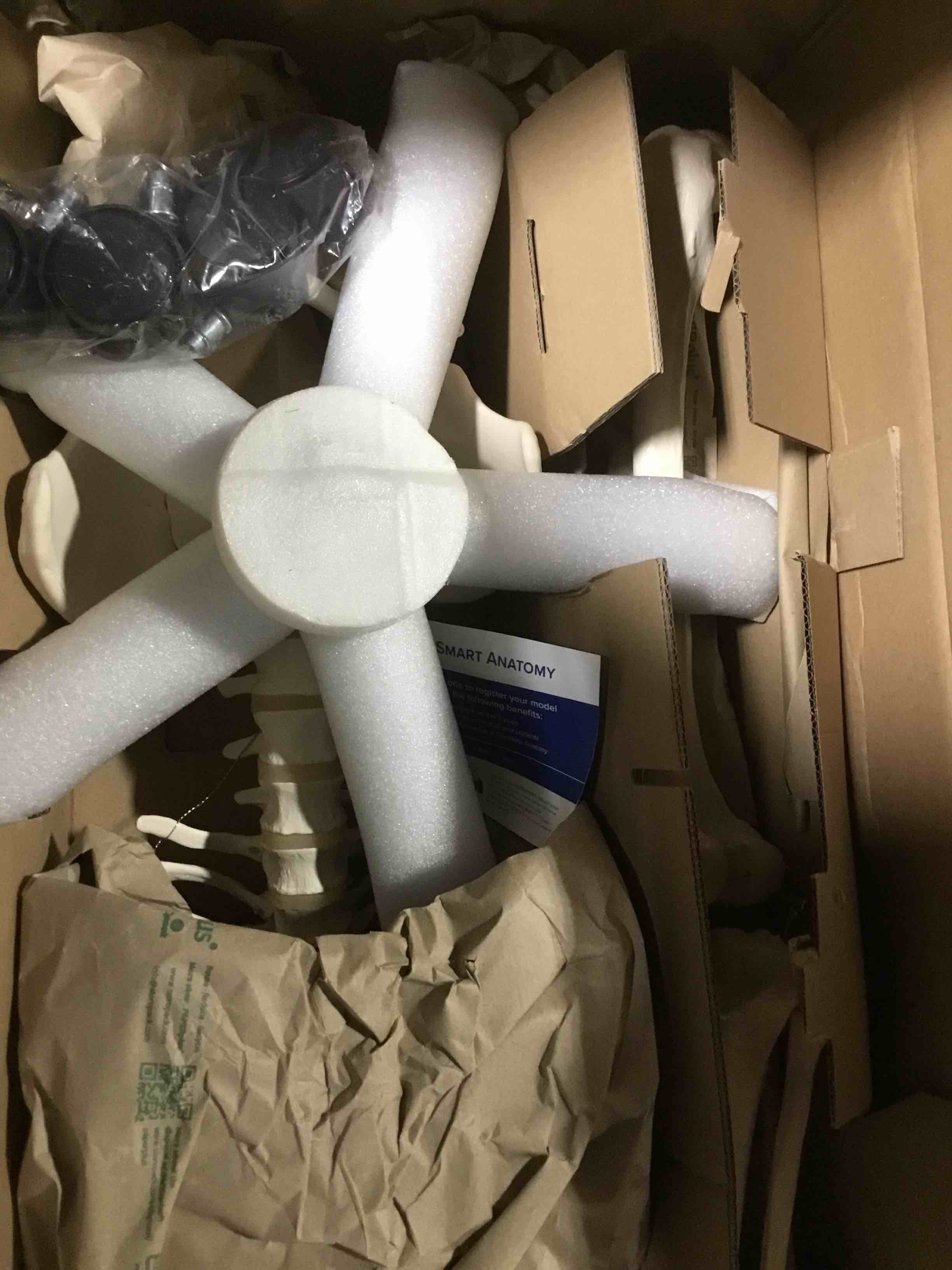https://s3.amazonaws.com/lotting-images-prod/bidfta/PPE2289305_1748624217994.jpeg