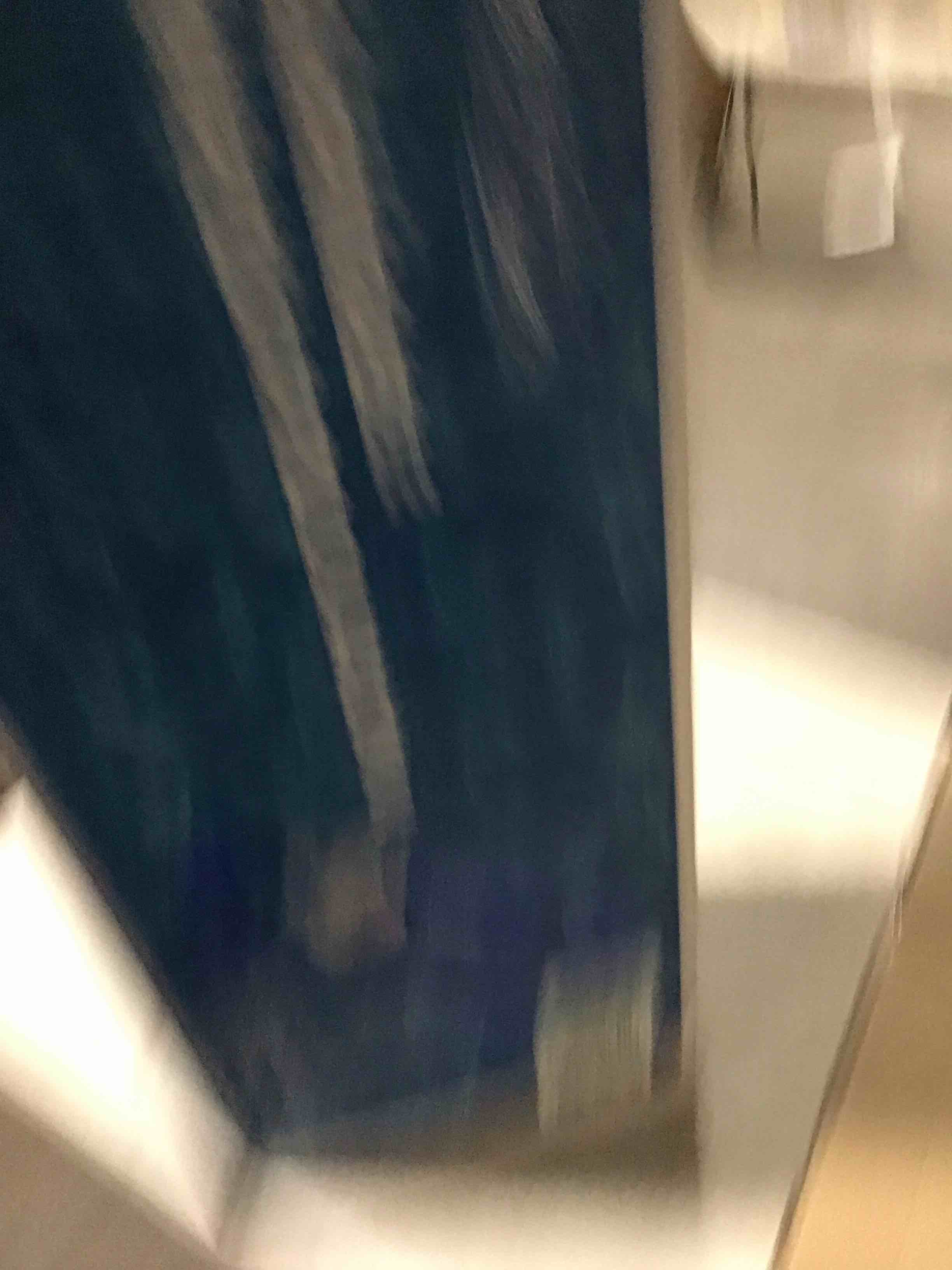 https://s3.amazonaws.com/lotting-images-prod/bidfta/PPE2291003_1744905024430.jpeg