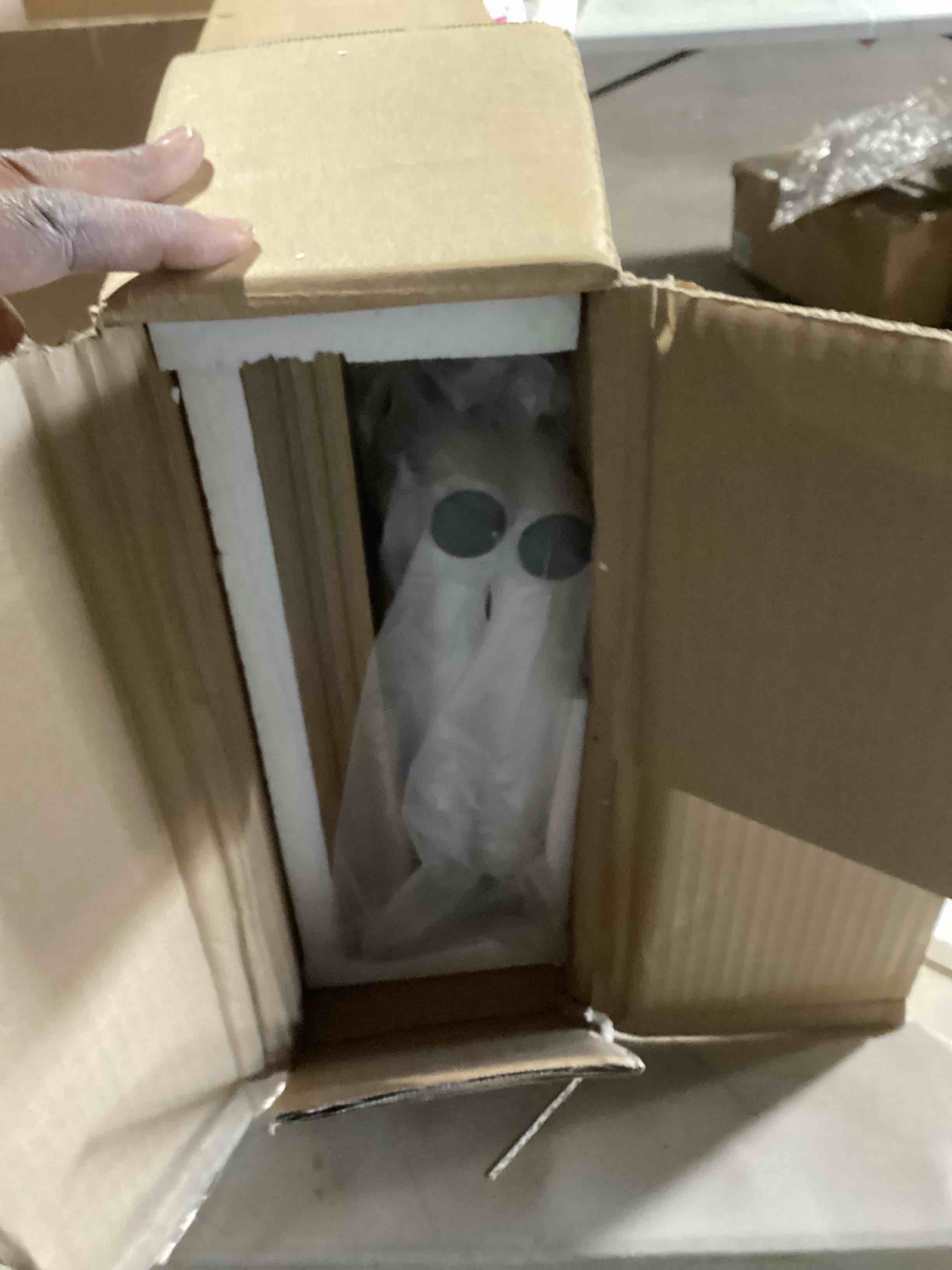 https://s3.amazonaws.com/lotting-images-prod/bidfta/PPE2295576_1746626265250.jpeg