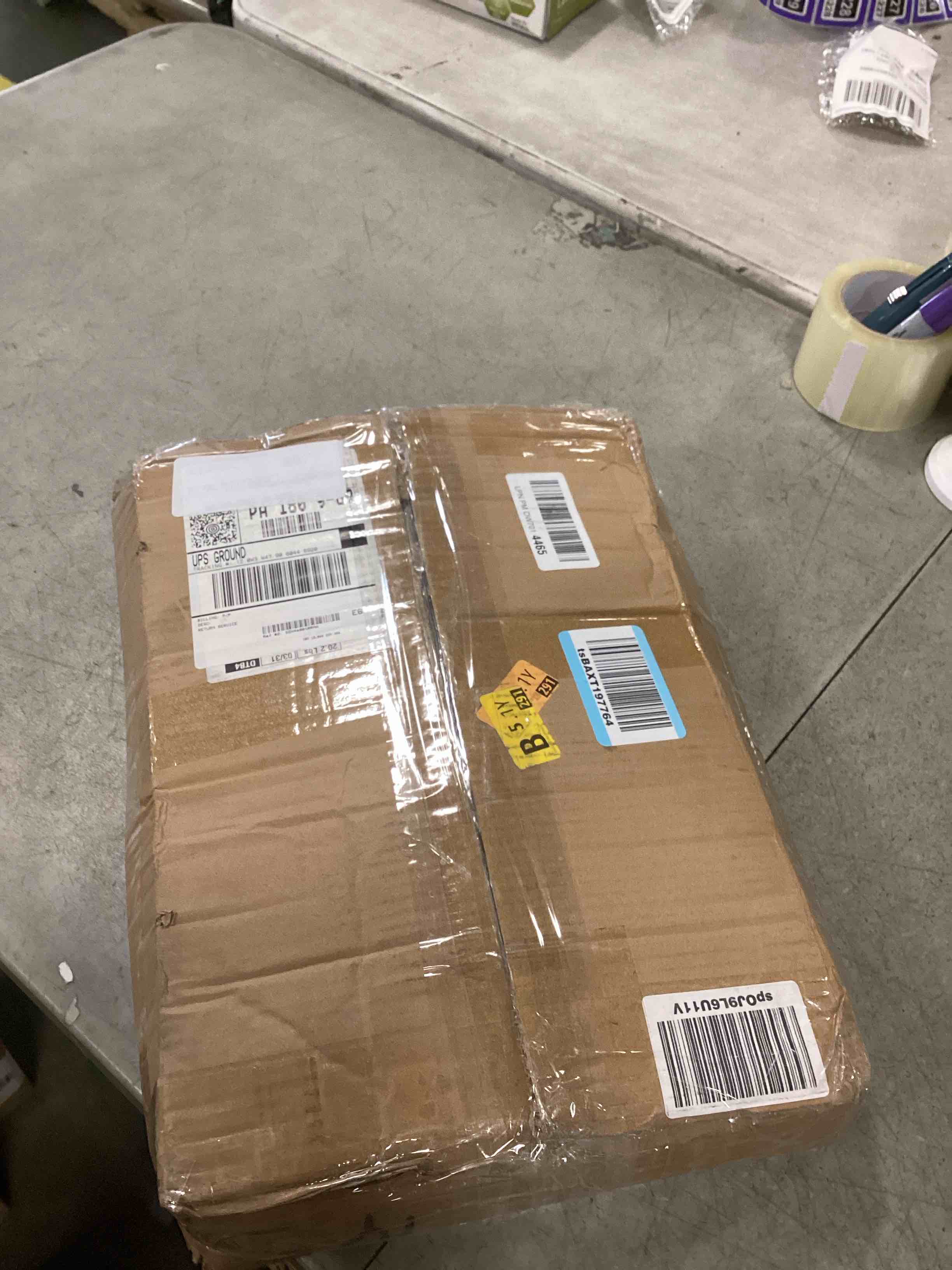 https://s3.amazonaws.com/lotting-images-prod/bidfta/PPE2301525_1745931537188.jpeg