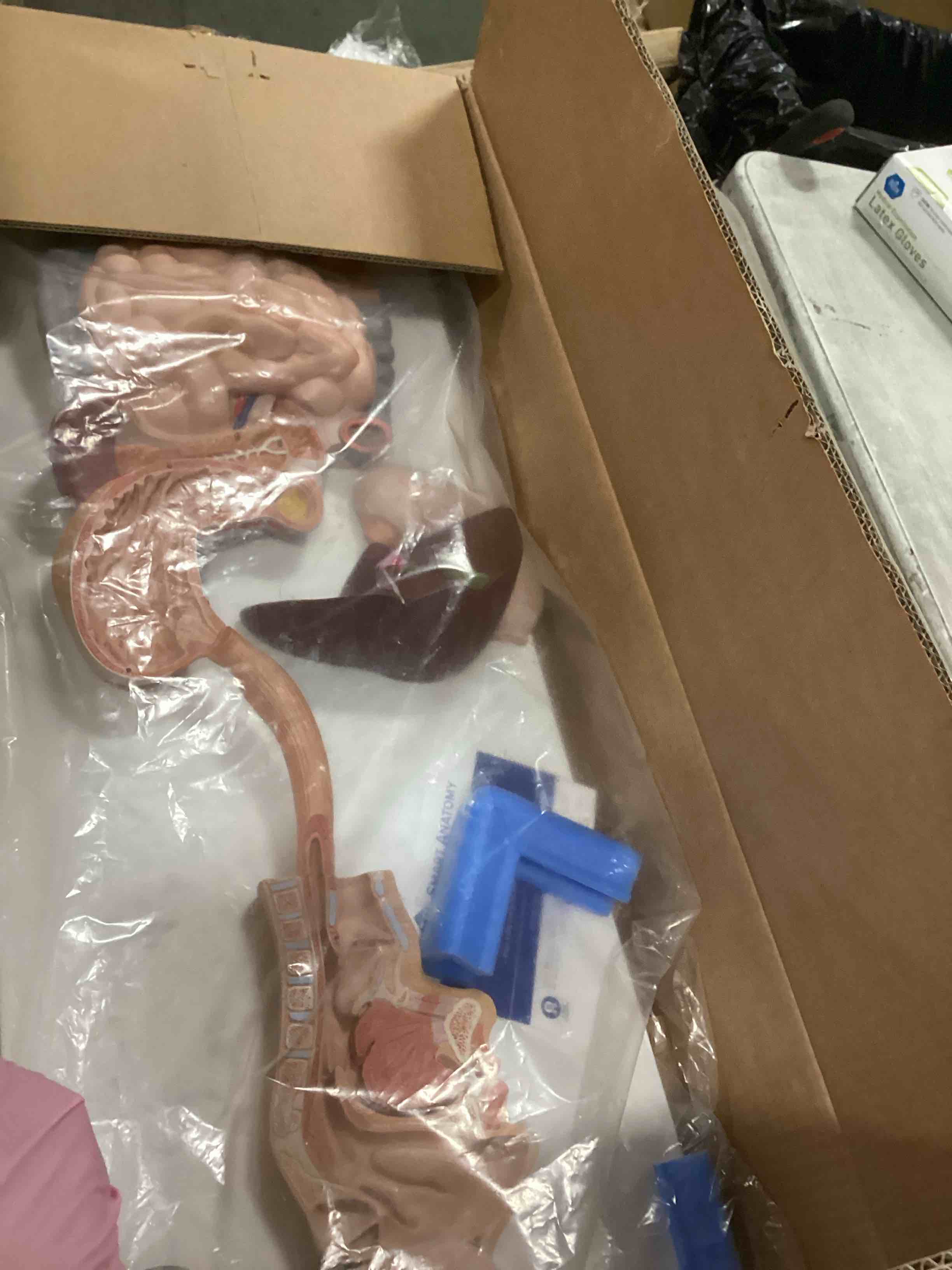 https://s3.amazonaws.com/lotting-images-prod/bidfta/PPE2301647_1745950147814.jpeg