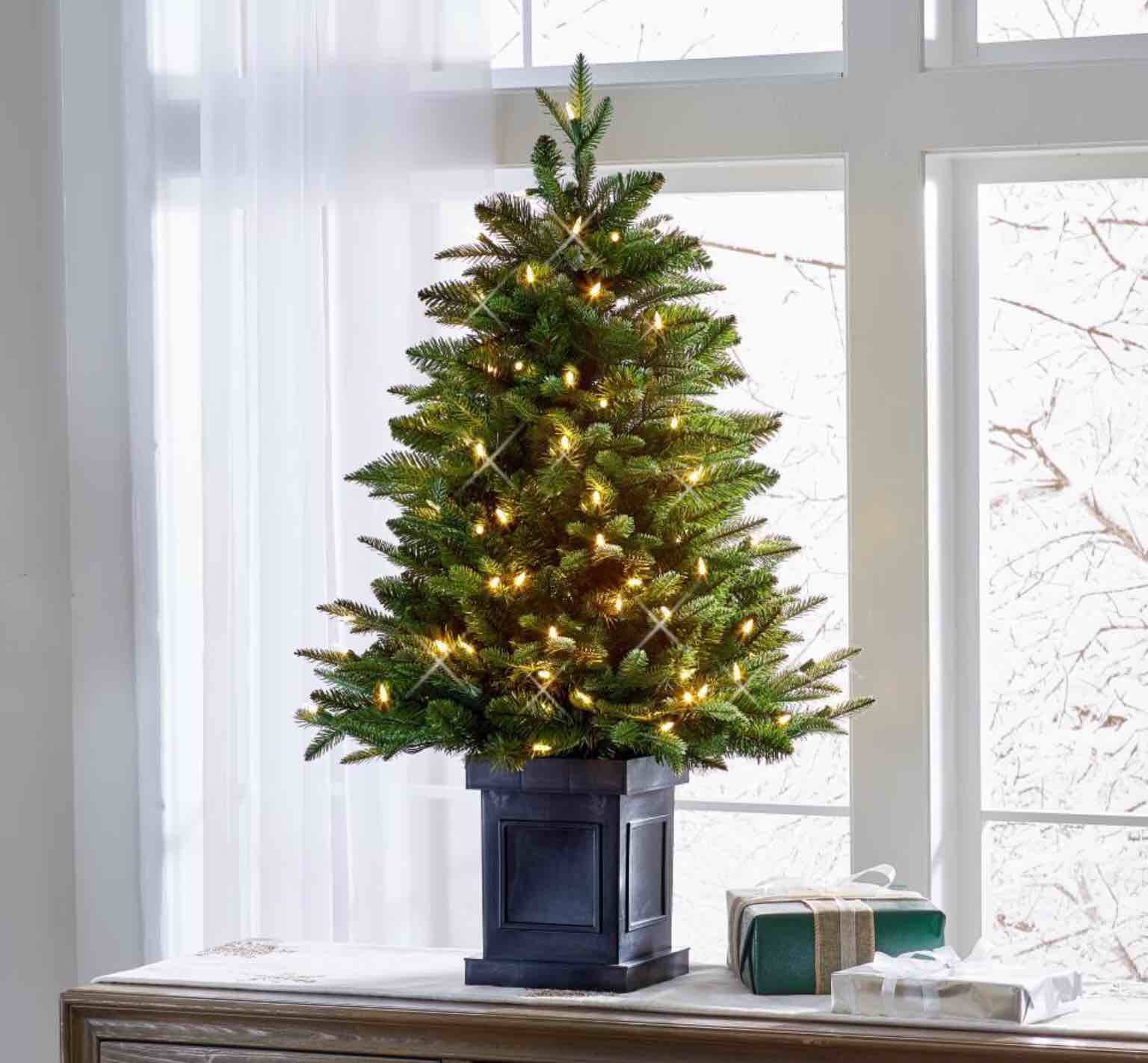 The World's Best Tabletop Prelit Fraser Fir