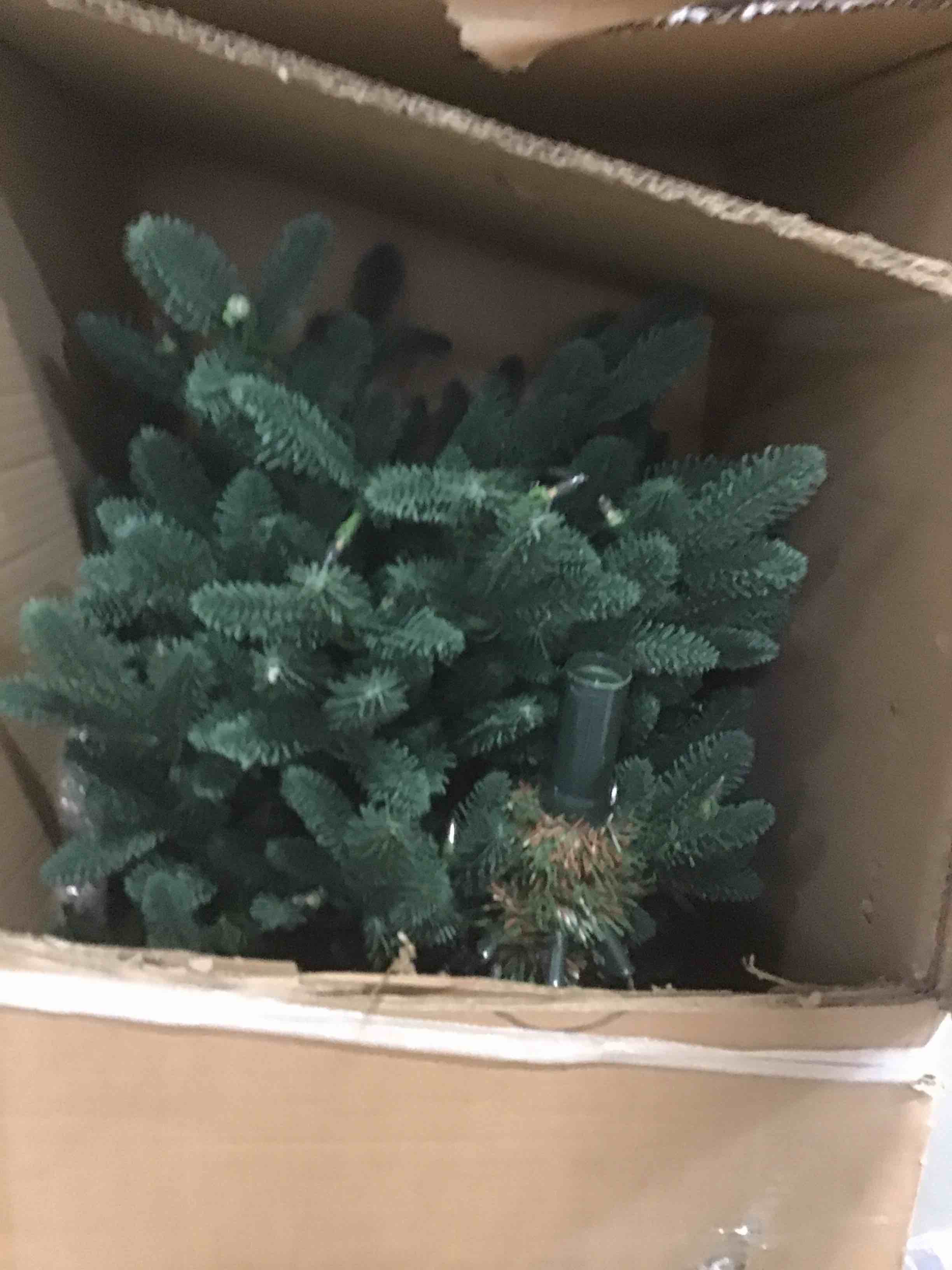 https://s3.amazonaws.com/lotting-images-prod/bidfta/PPE2318526_1742926553818.jpeg