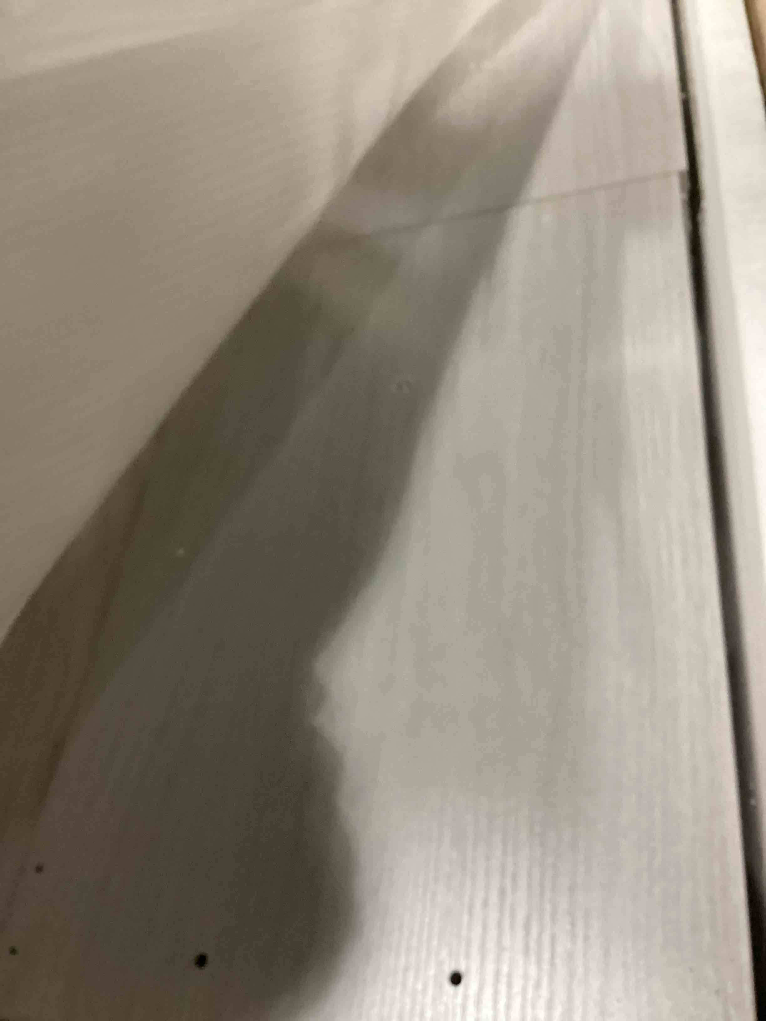 https://s3.amazonaws.com/lotting-images-prod/bidfta/PPE2361333_1748539768636.jpeg