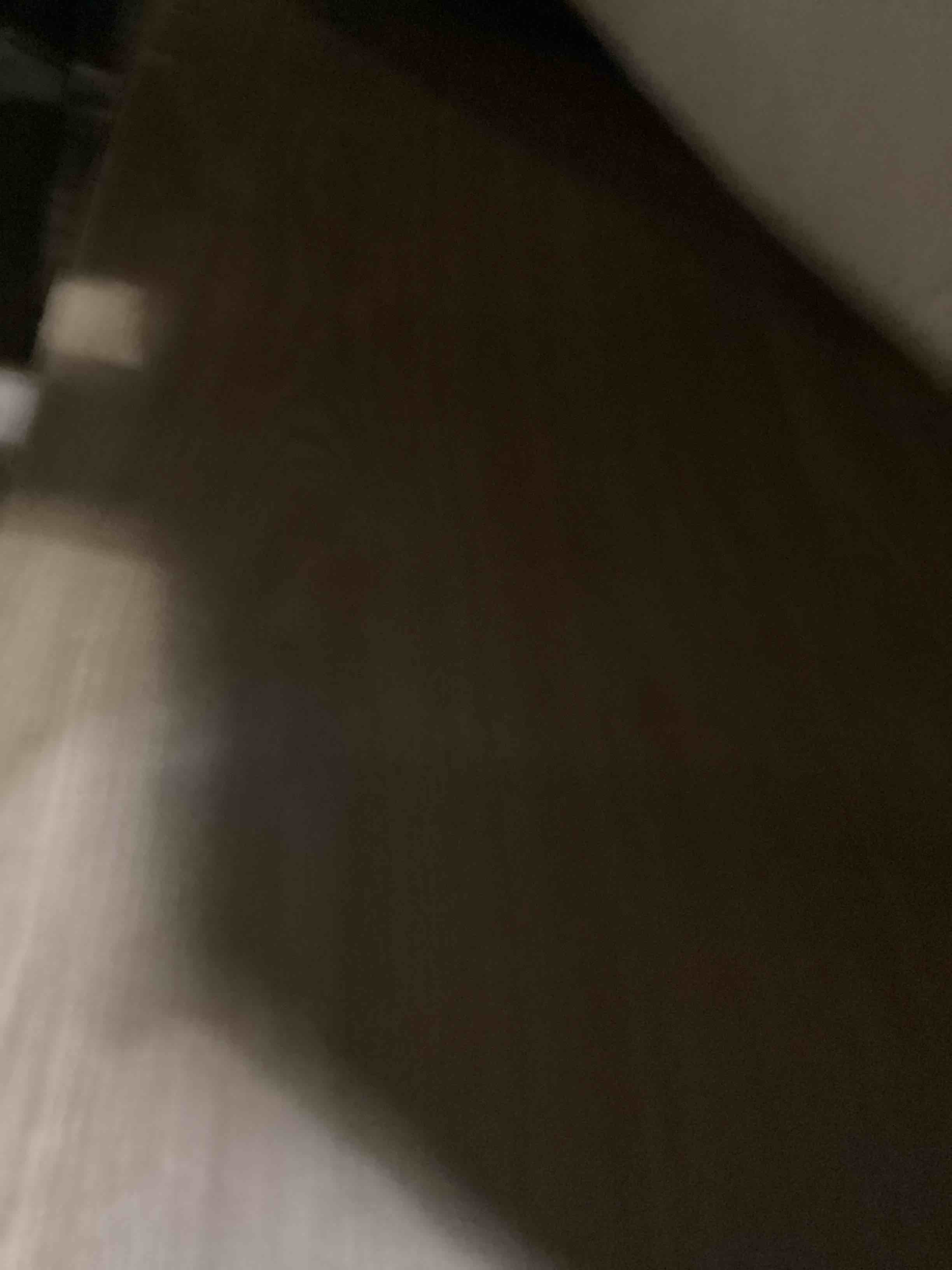https://s3.amazonaws.com/lotting-images-prod/bidfta/PPE2361883_1749147471292.jpeg