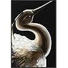 PTM imágenes 9 – 15163 White Bird, lona pared arte, Negro