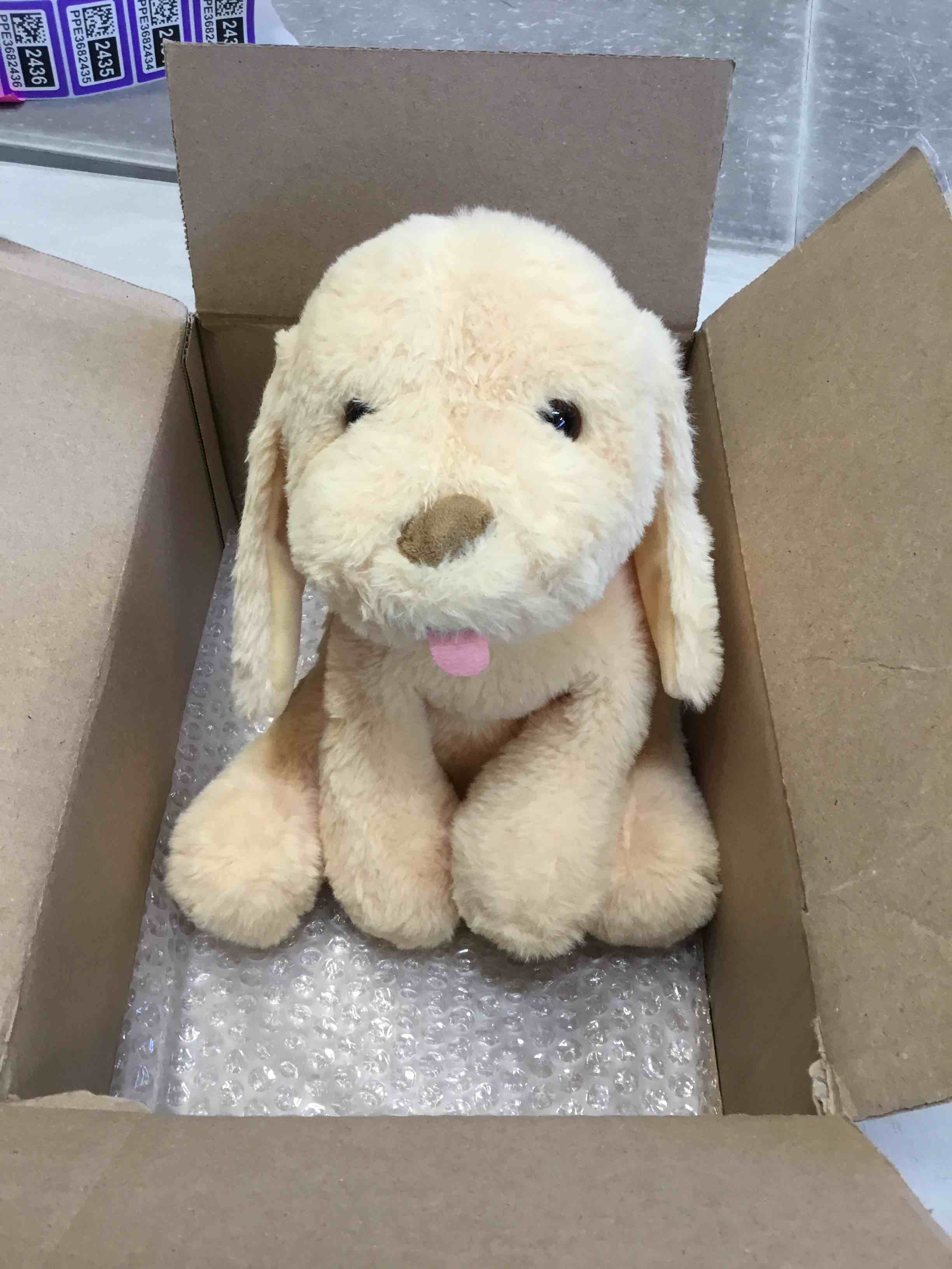 https://s3.amazonaws.com/lotting-images-prod/bidfta/PPE2471196_1748007353810.jpeg