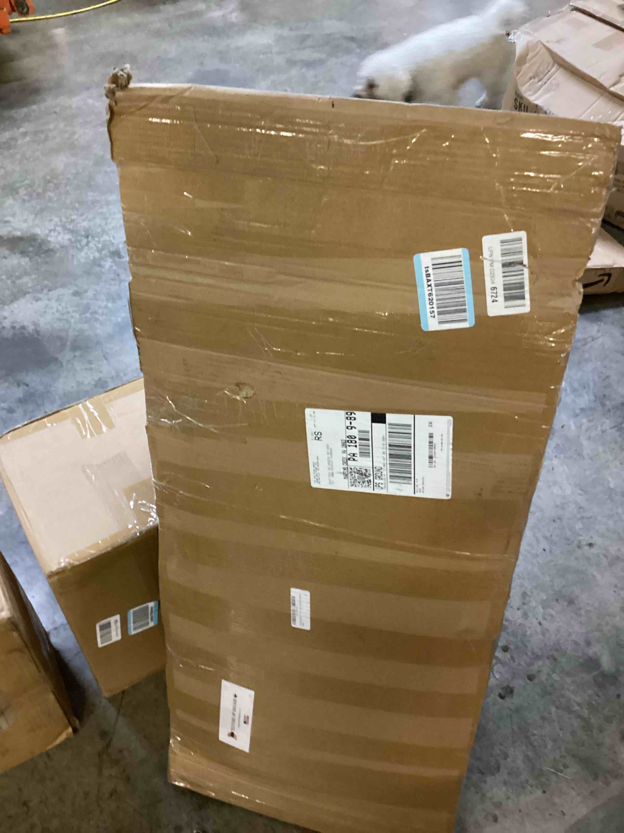 https://s3.amazonaws.com/lotting-images-prod/bidfta/PPE2486329_1753642224288.jpeg