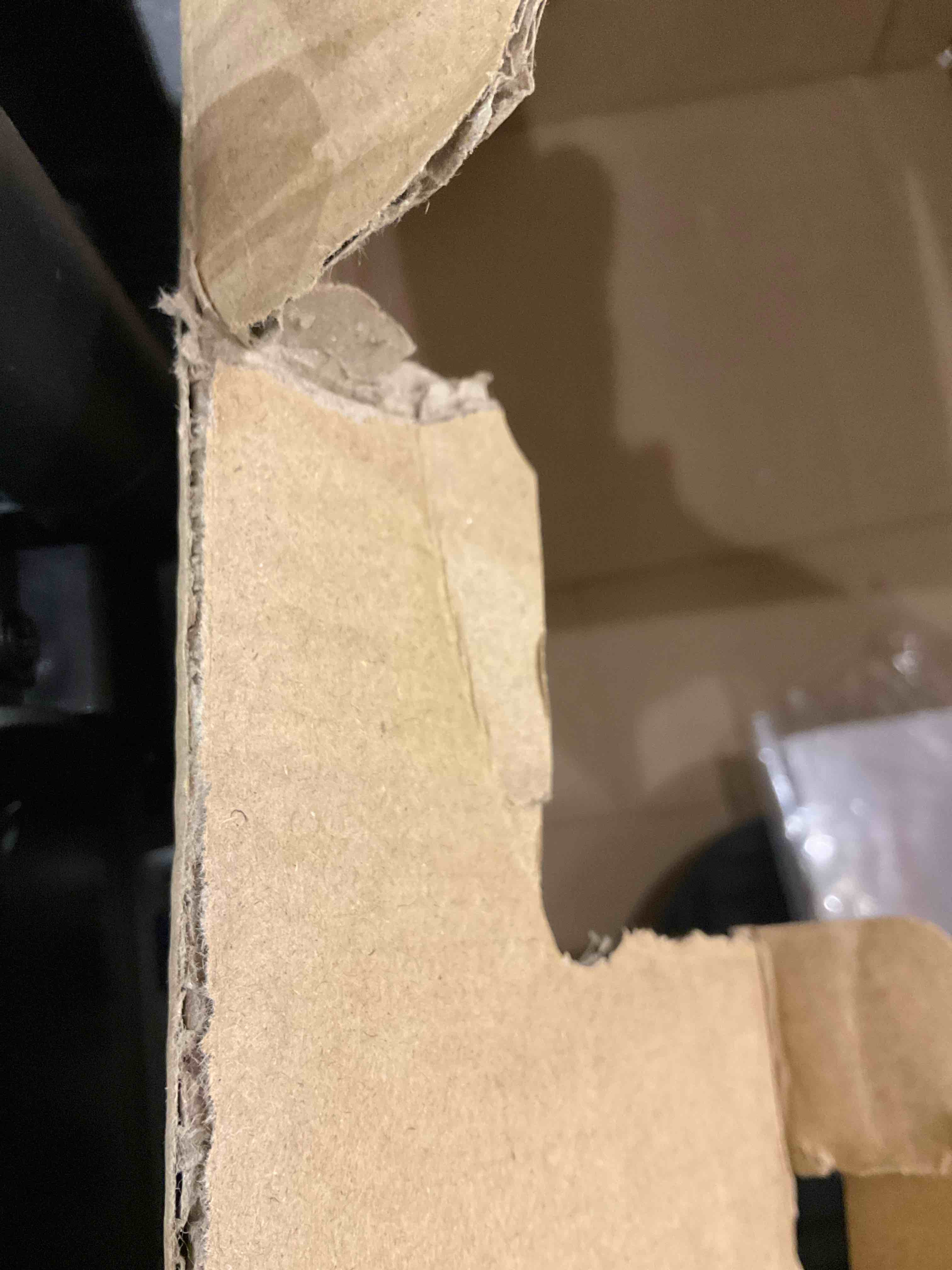 https://s3.amazonaws.com/lotting-images-prod/bidfta/PPE2490956_1750698120210.jpeg