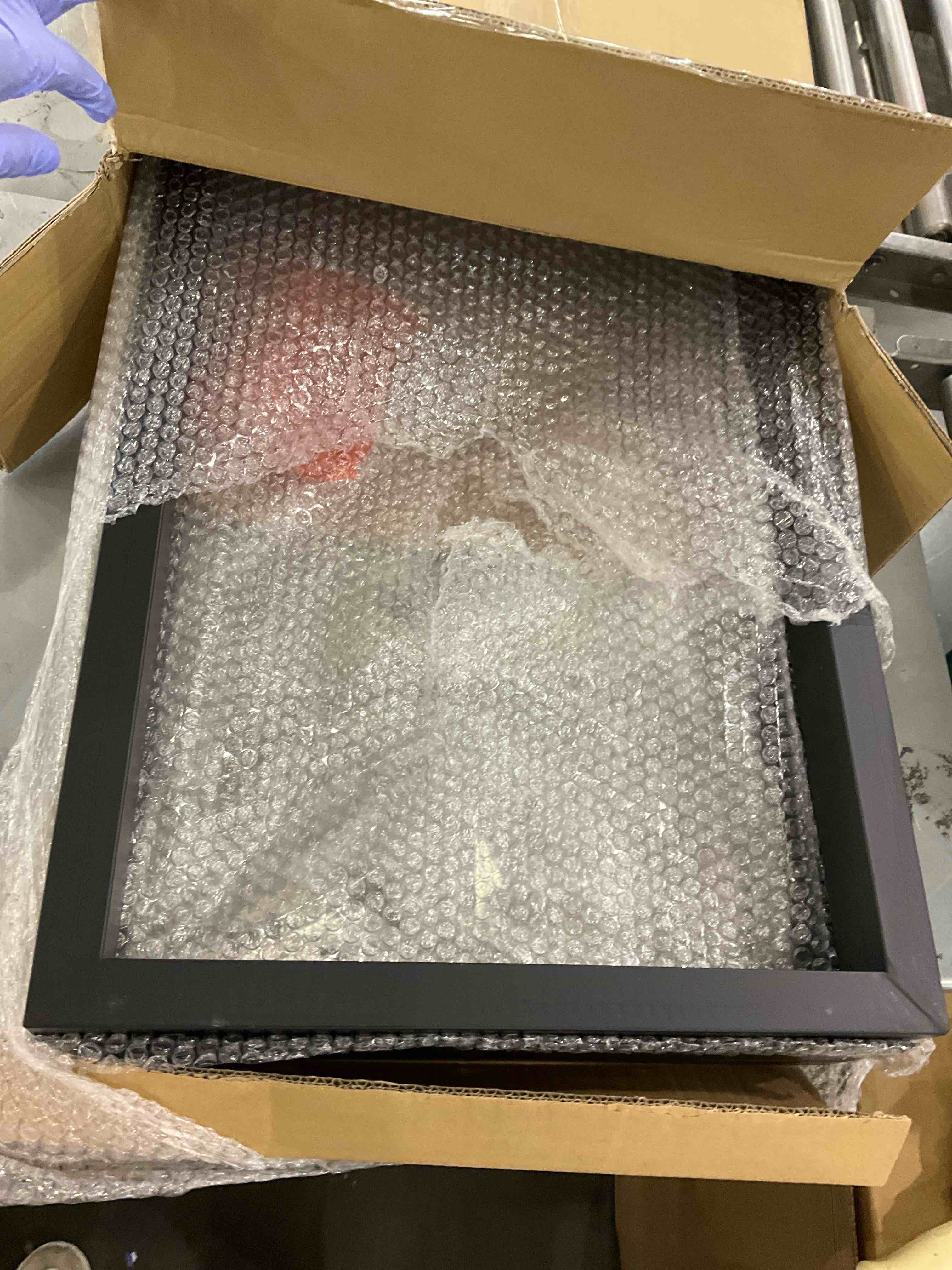 https://s3.amazonaws.com/lotting-images-prod/bidfta/PPE2494062_1745934915907.jpeg