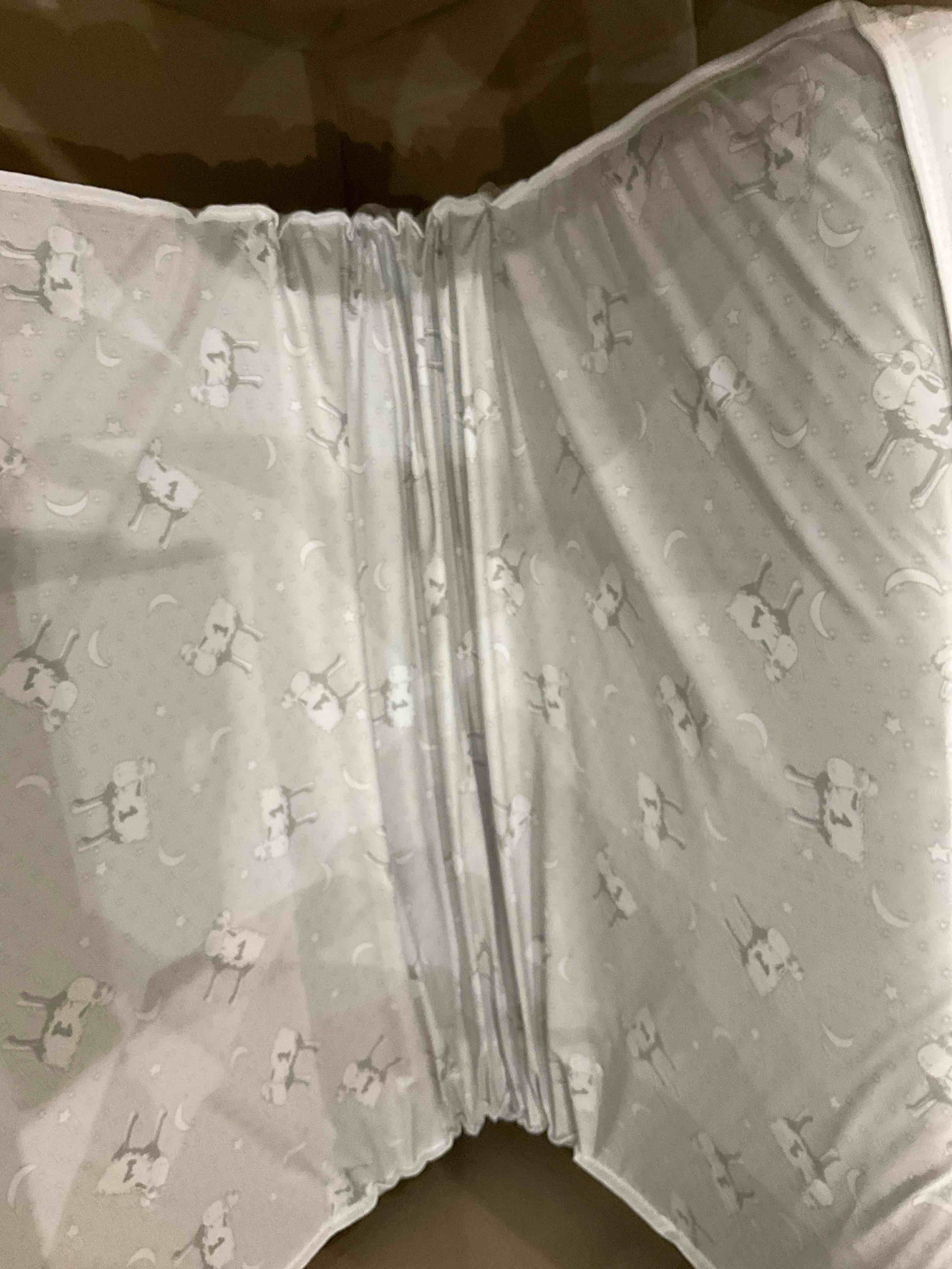 https://s3.amazonaws.com/lotting-images-prod/bidfta/PPE2497222_1746187940872.jpeg
